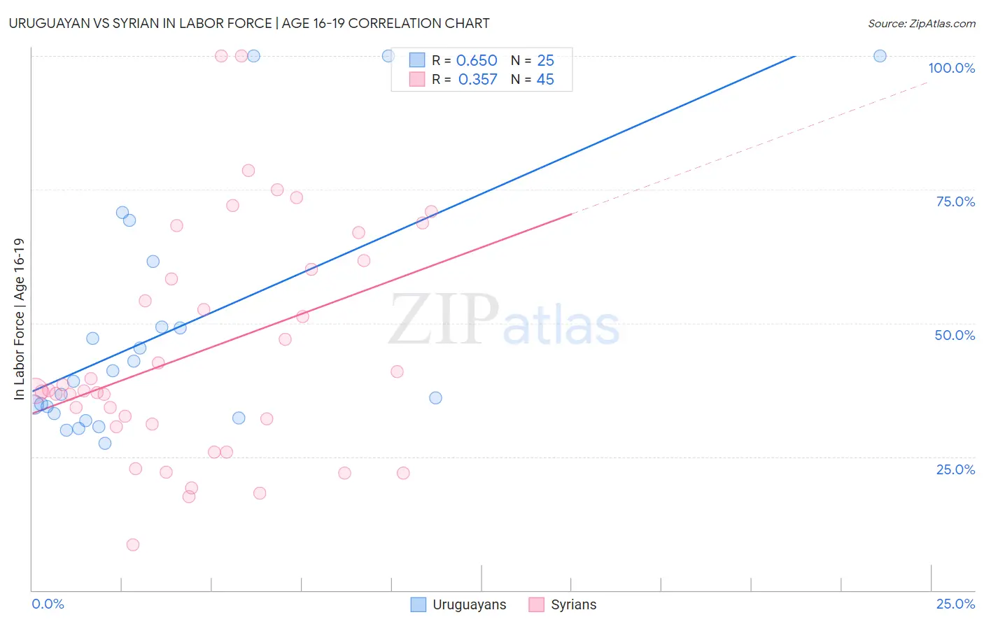 Uruguayan vs Syrian In Labor Force | Age 16-19