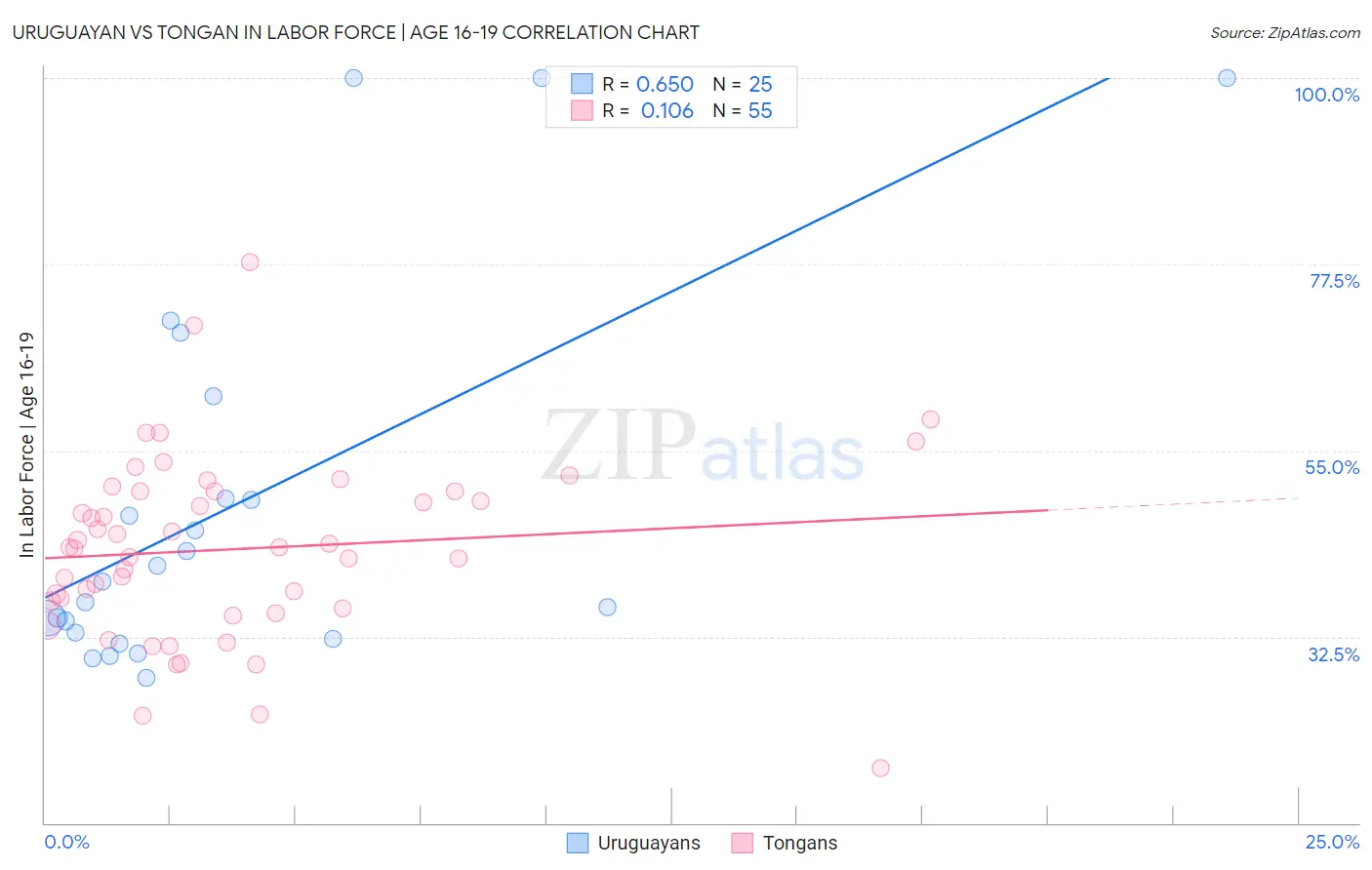 Uruguayan vs Tongan In Labor Force | Age 16-19