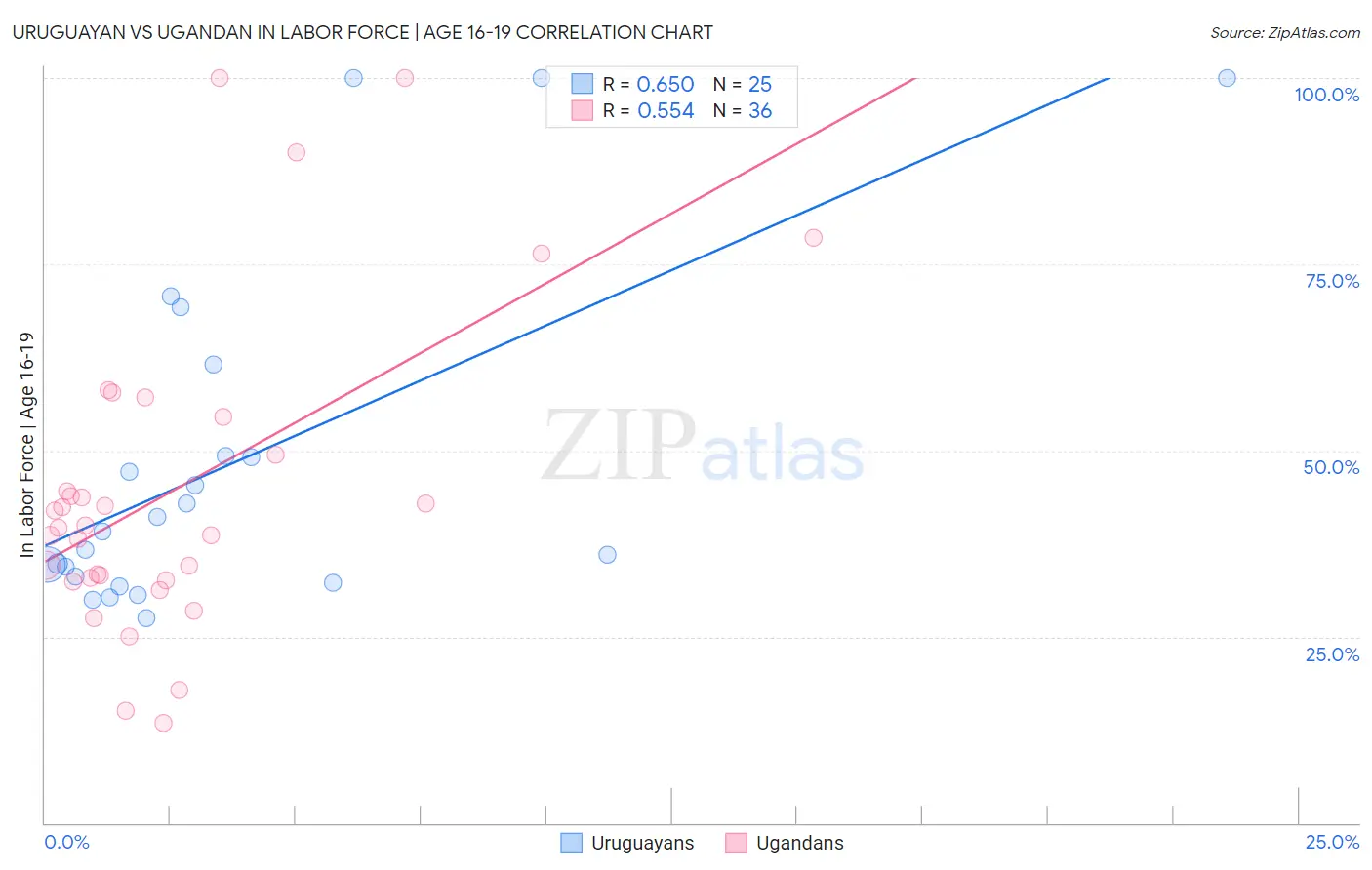 Uruguayan vs Ugandan In Labor Force | Age 16-19