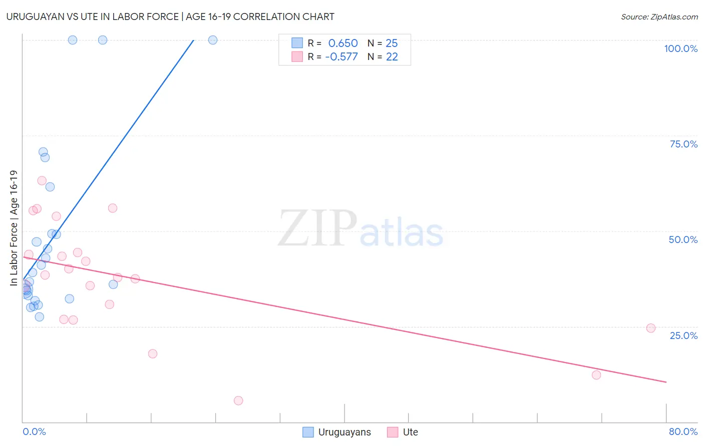 Uruguayan vs Ute In Labor Force | Age 16-19