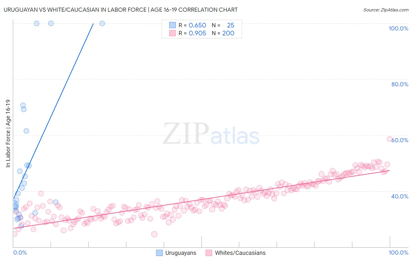 Uruguayan vs White/Caucasian In Labor Force | Age 16-19