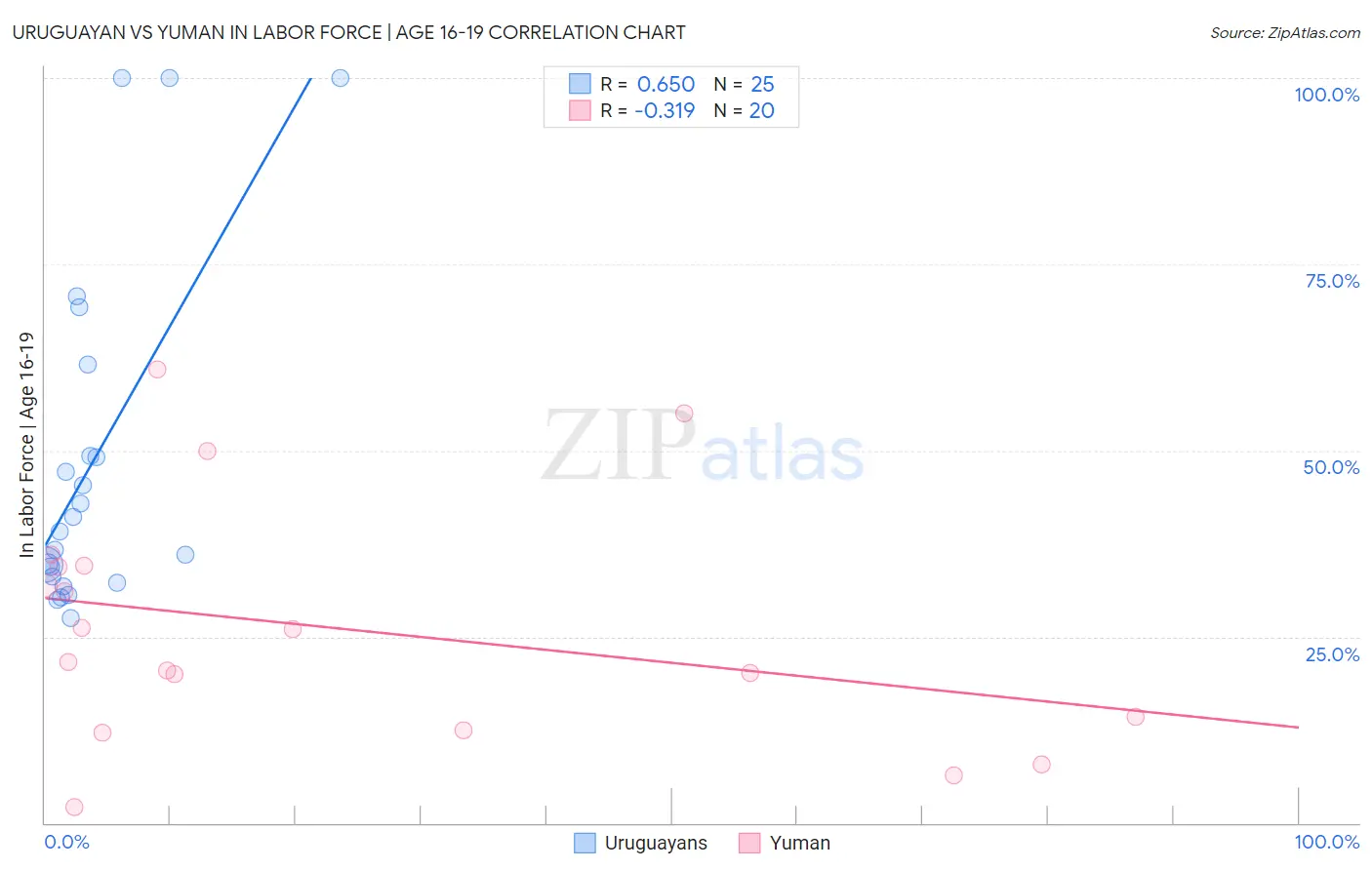 Uruguayan vs Yuman In Labor Force | Age 16-19