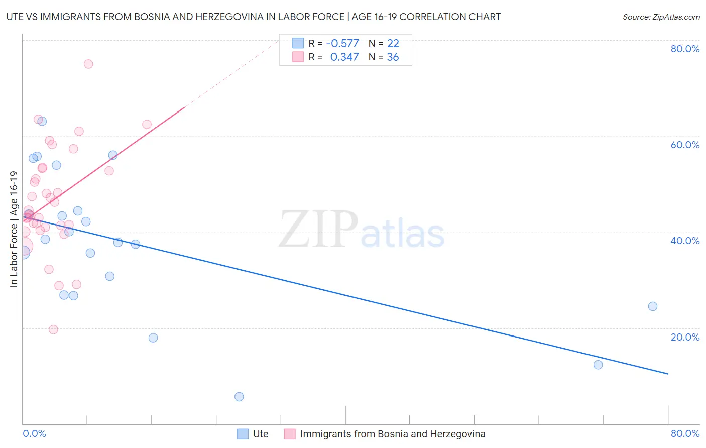 Ute vs Immigrants from Bosnia and Herzegovina In Labor Force | Age 16-19