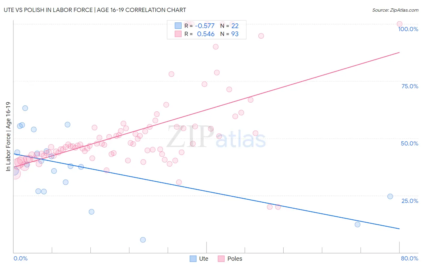 Ute vs Polish In Labor Force | Age 16-19