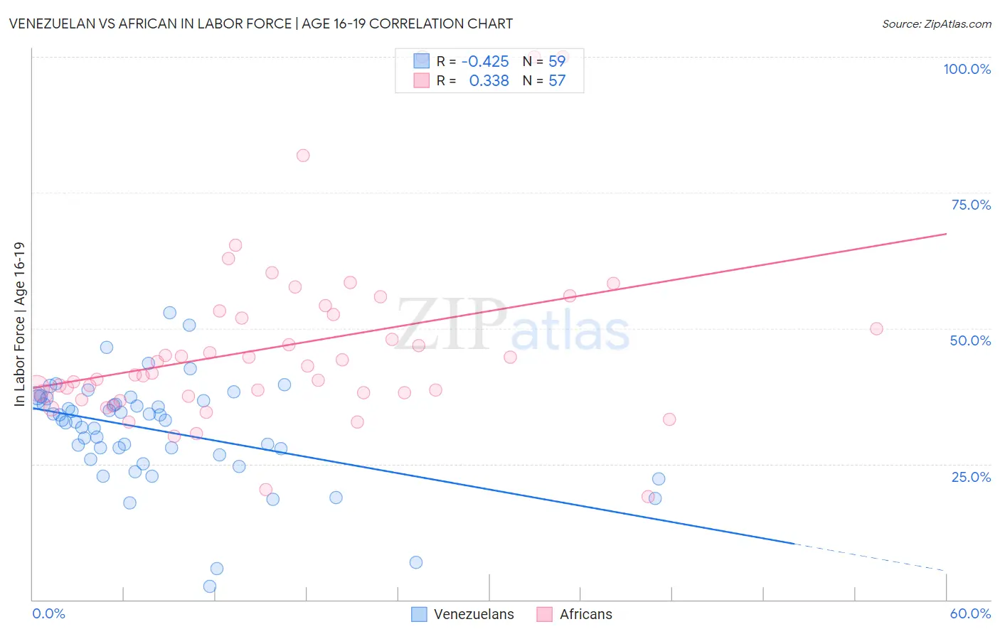 Venezuelan vs African In Labor Force | Age 16-19