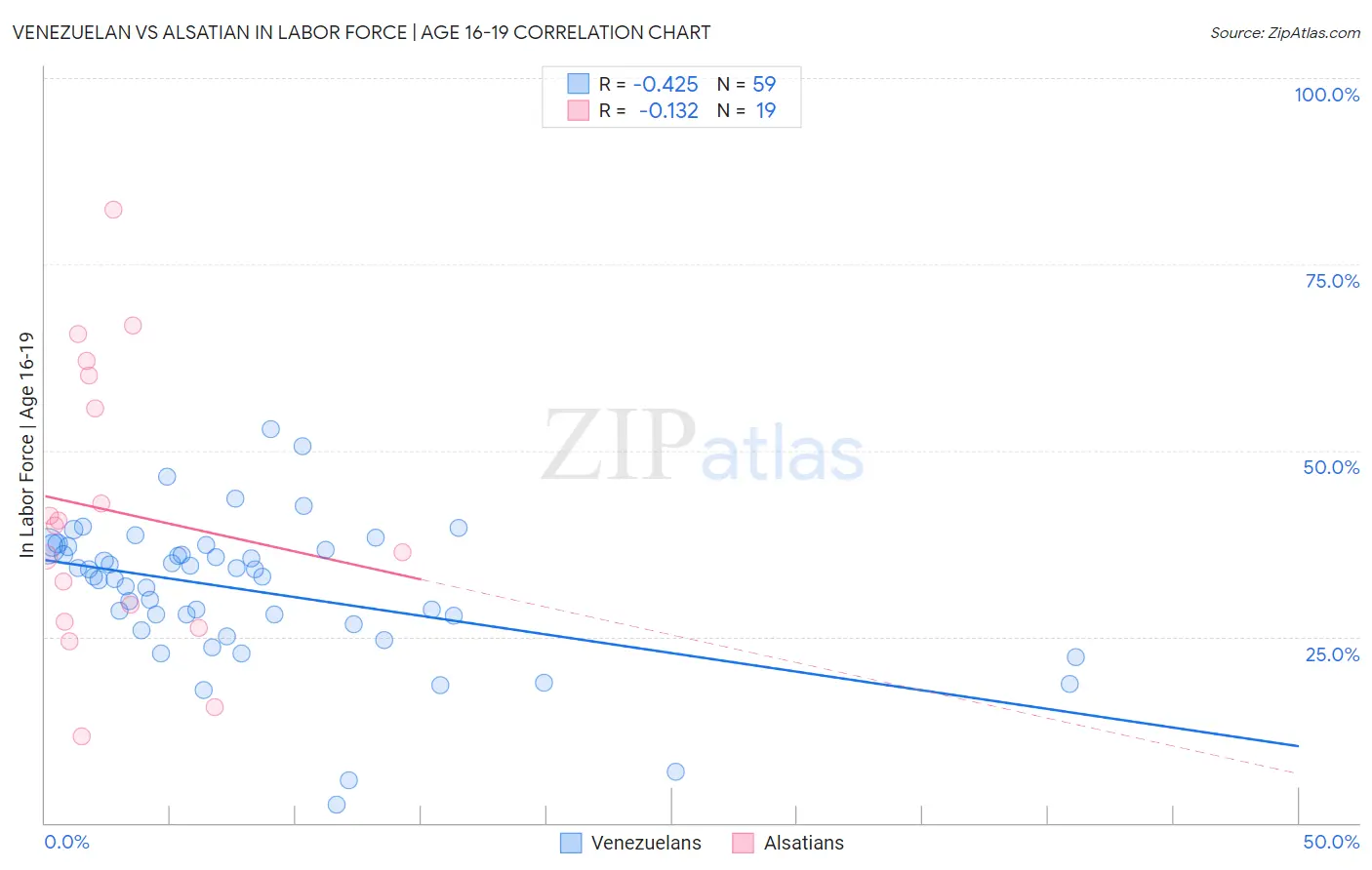 Venezuelan vs Alsatian In Labor Force | Age 16-19