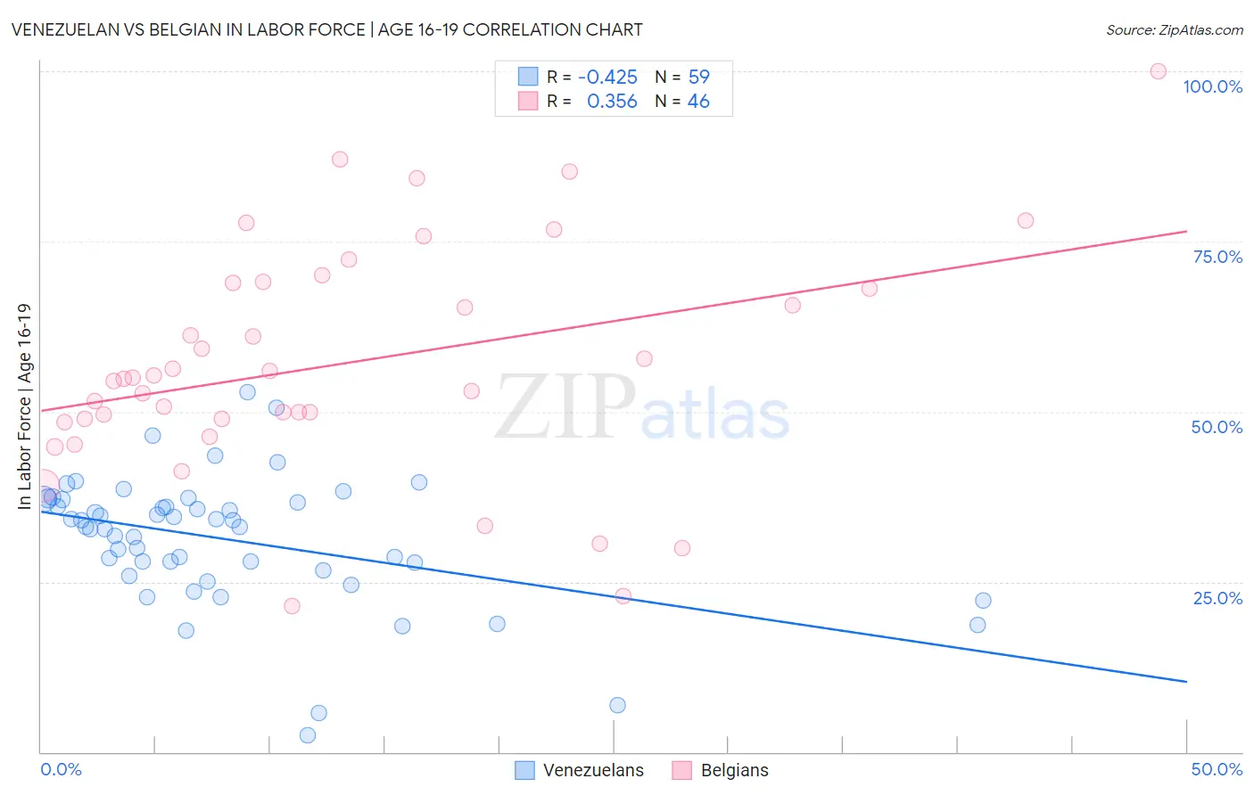 Venezuelan vs Belgian In Labor Force | Age 16-19