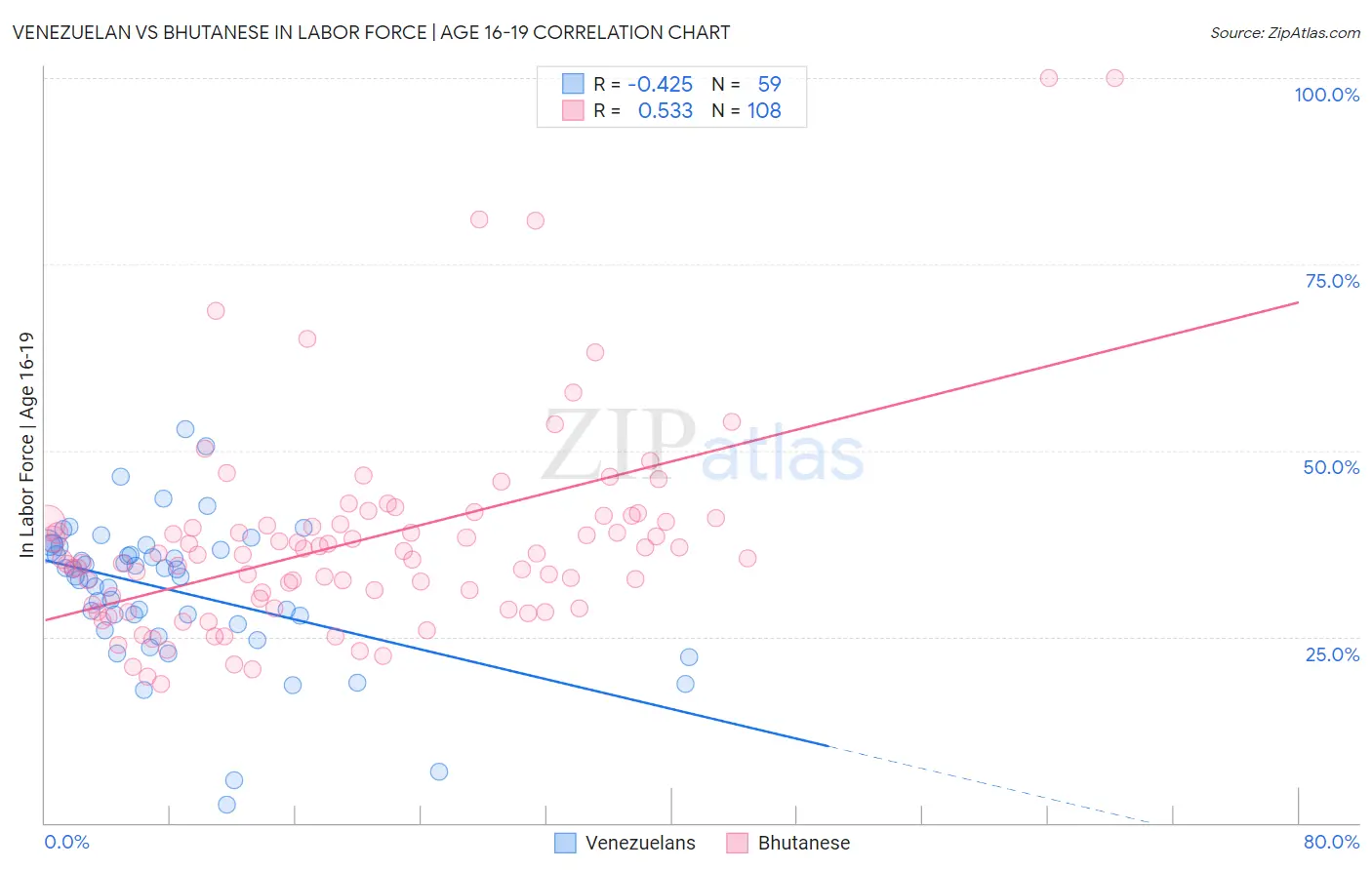 Venezuelan vs Bhutanese In Labor Force | Age 16-19