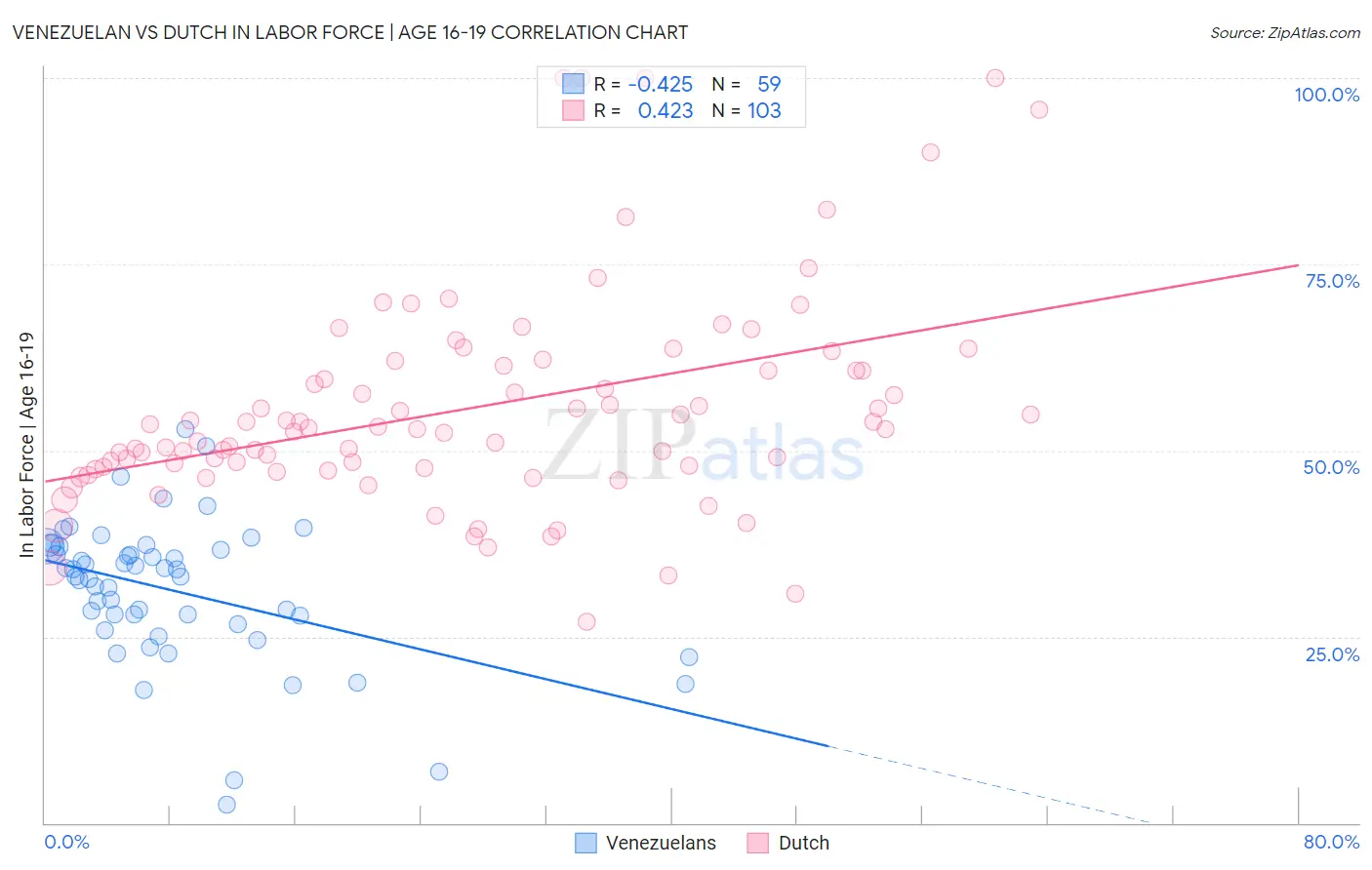 Venezuelan vs Dutch In Labor Force | Age 16-19