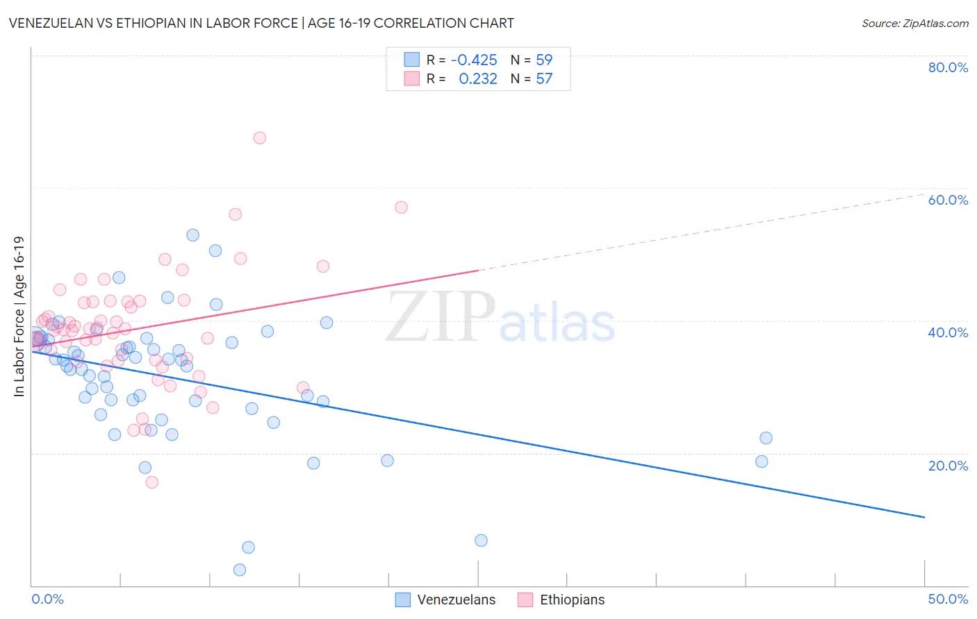 Venezuelan vs Ethiopian In Labor Force | Age 16-19