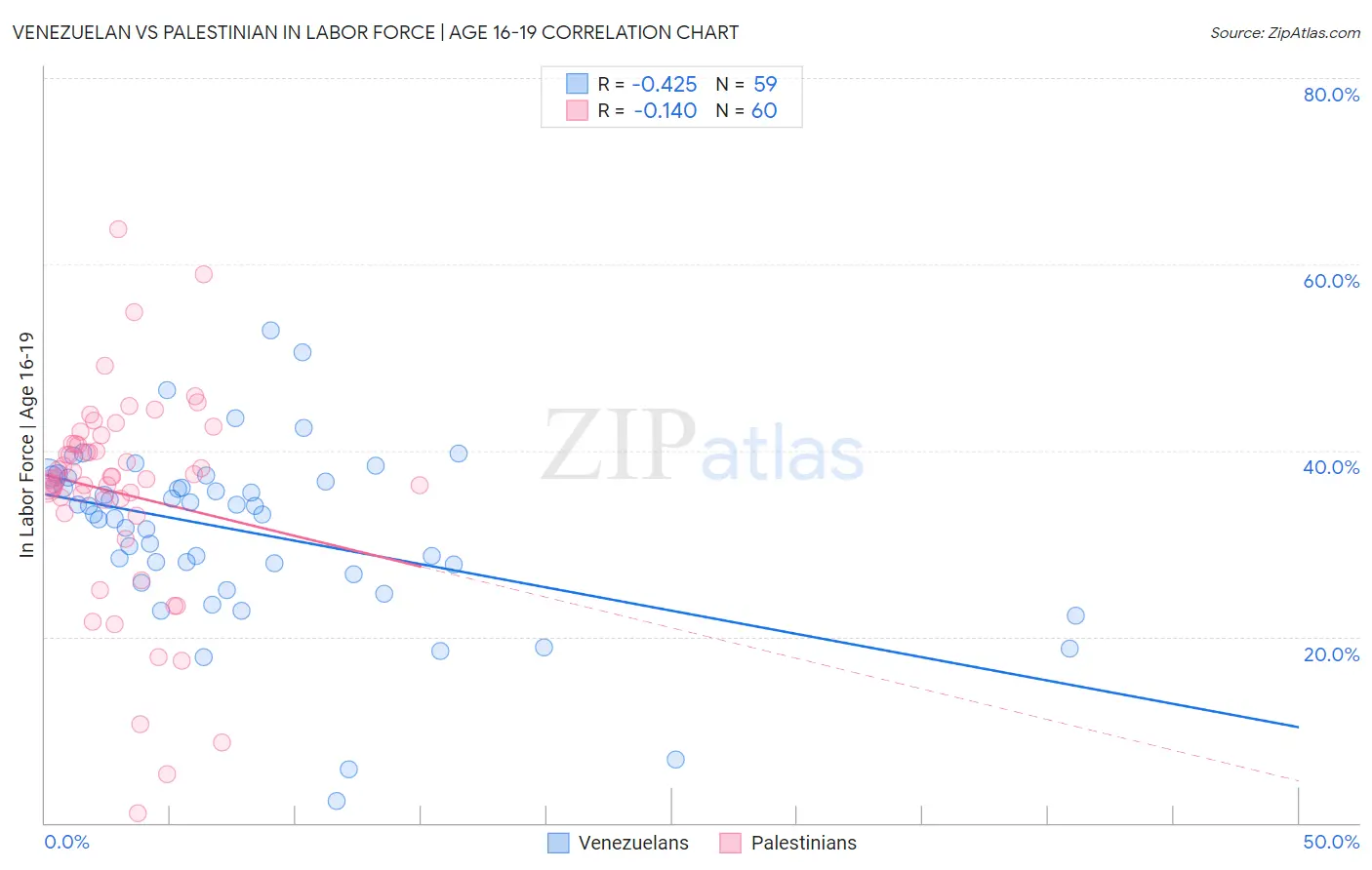 Venezuelan vs Palestinian In Labor Force | Age 16-19