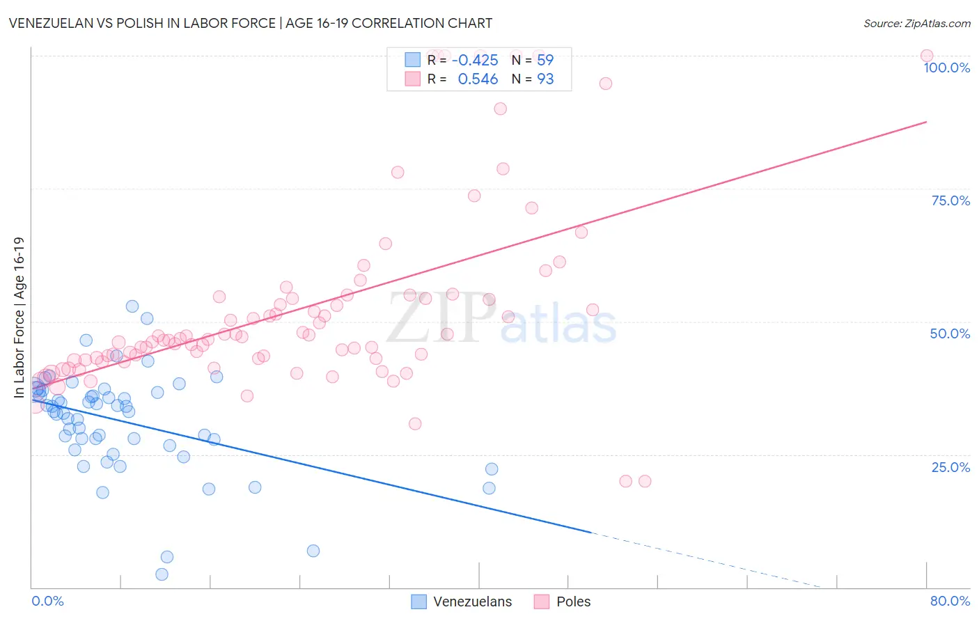 Venezuelan vs Polish In Labor Force | Age 16-19