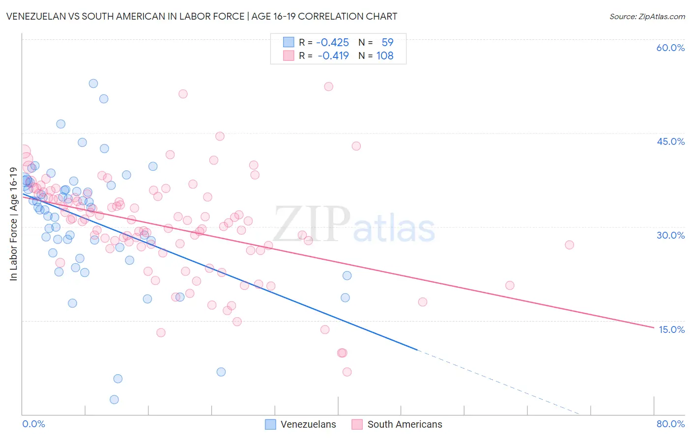 Venezuelan vs South American In Labor Force | Age 16-19