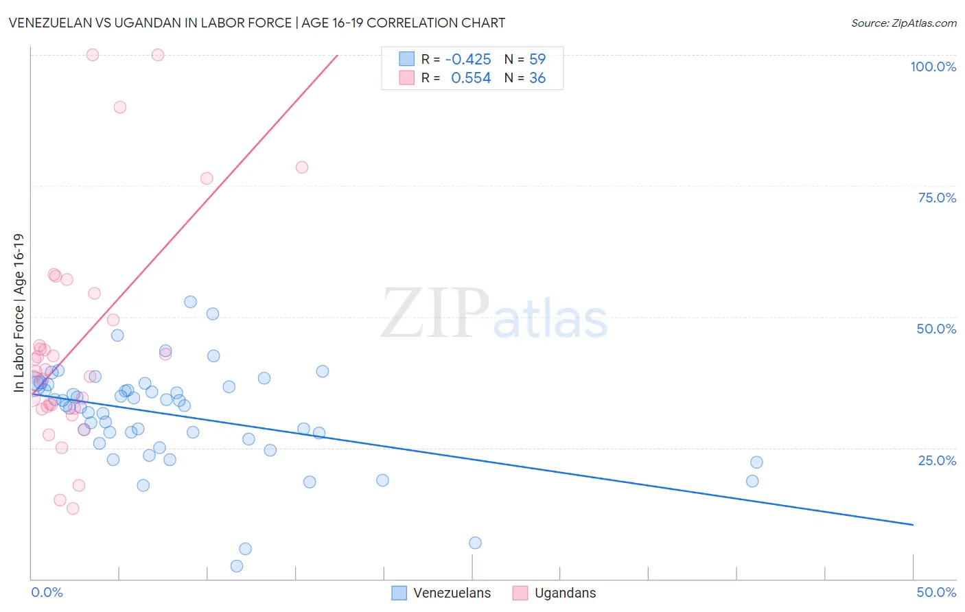 Venezuelan vs Ugandan In Labor Force | Age 16-19