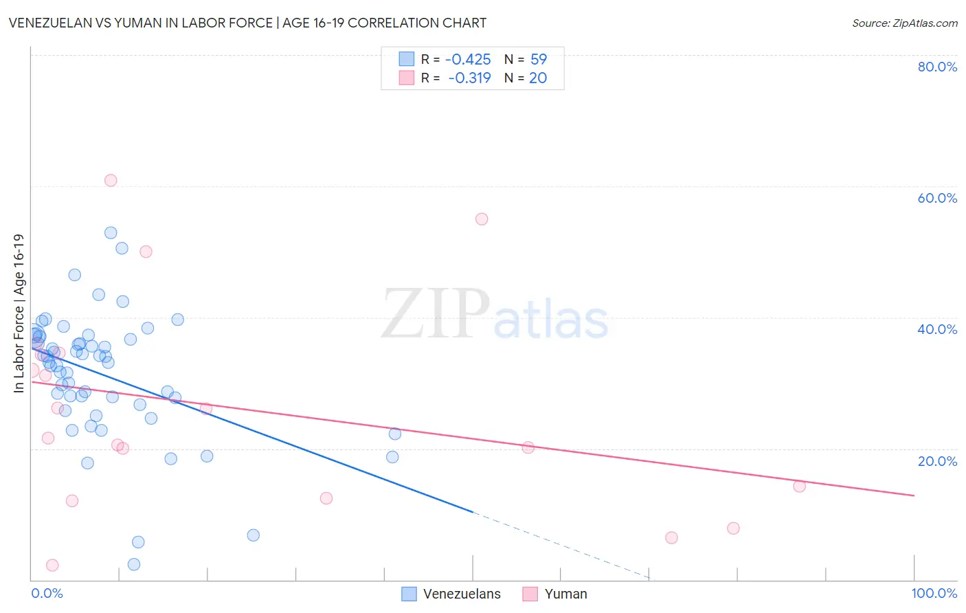 Venezuelan vs Yuman In Labor Force | Age 16-19
