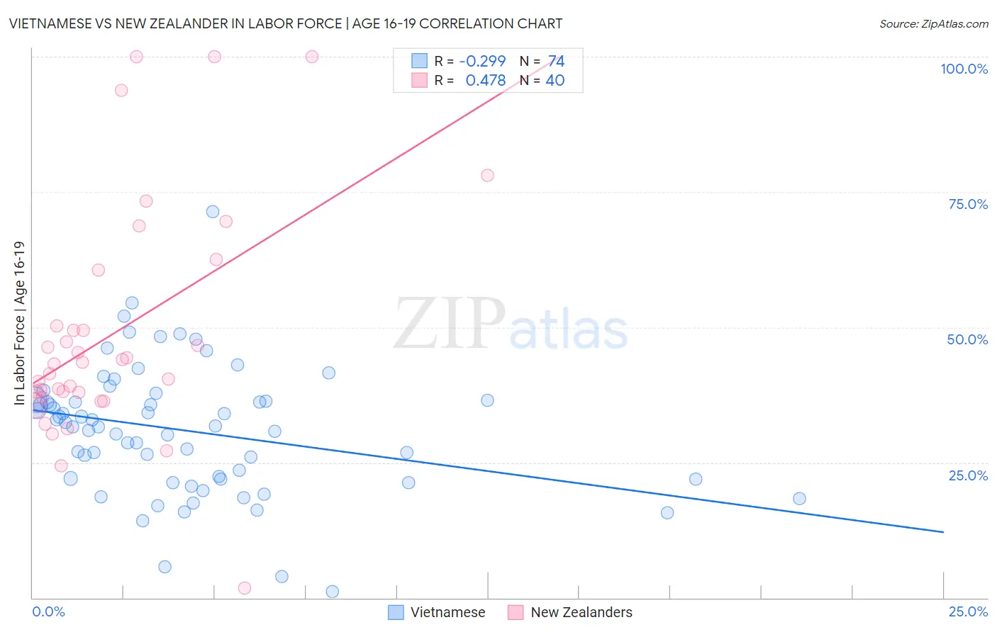 Vietnamese vs New Zealander In Labor Force | Age 16-19
