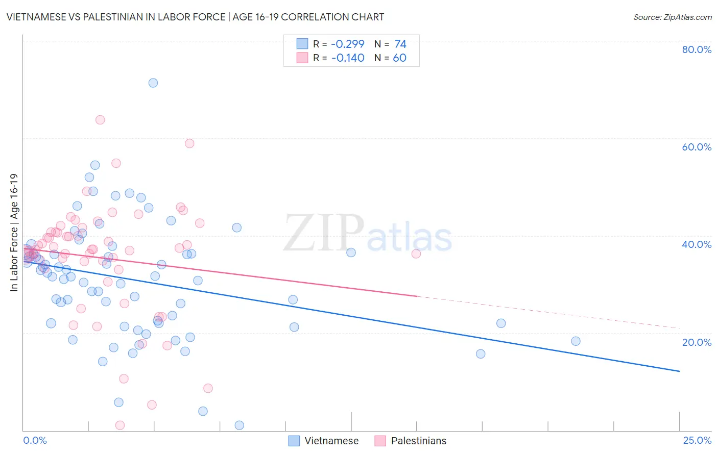 Vietnamese vs Palestinian In Labor Force | Age 16-19