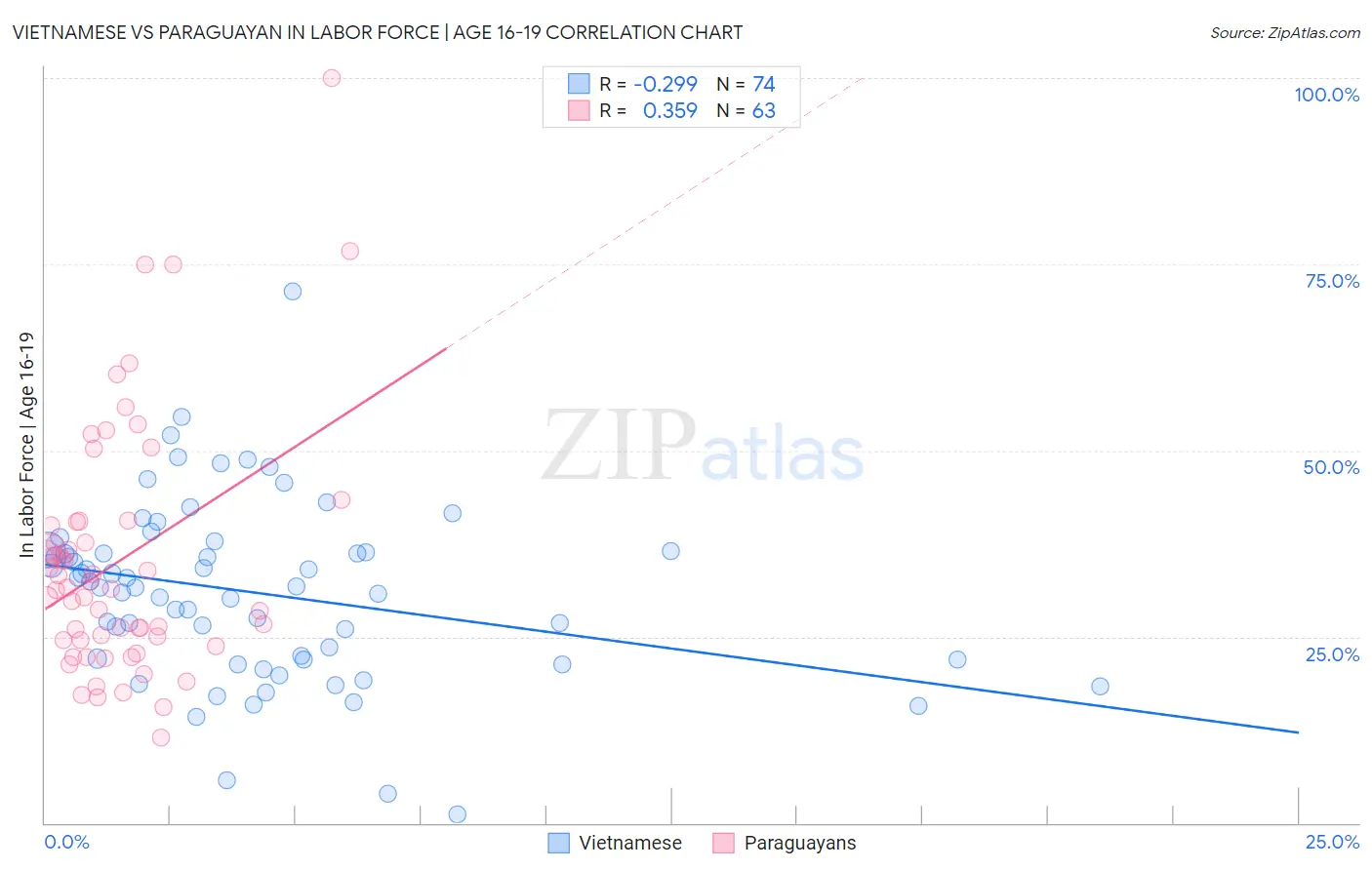 Vietnamese vs Paraguayan In Labor Force | Age 16-19