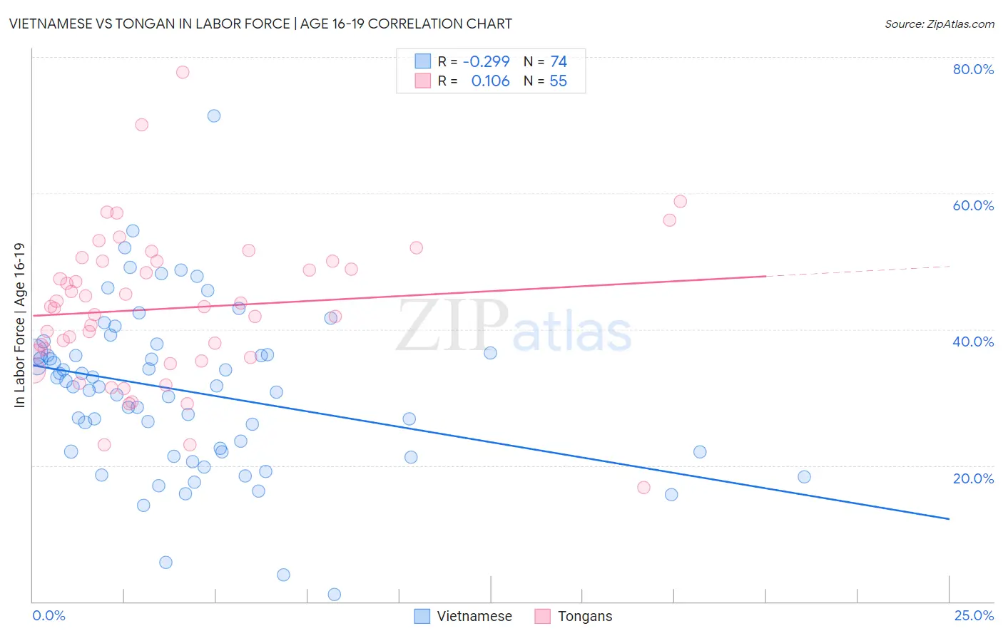 Vietnamese vs Tongan In Labor Force | Age 16-19