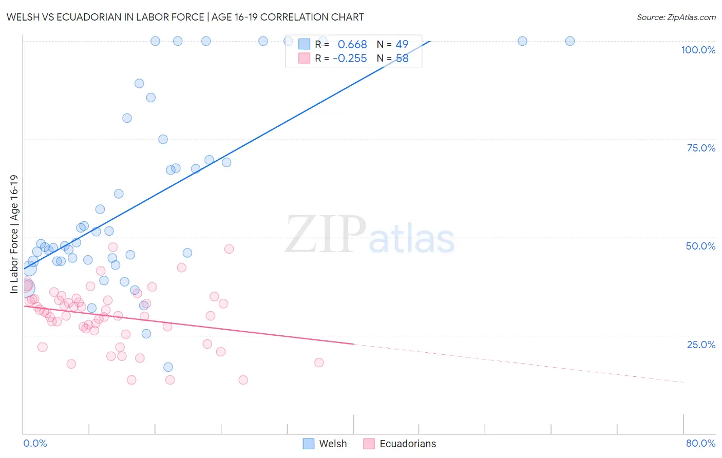 Welsh vs Ecuadorian In Labor Force | Age 16-19