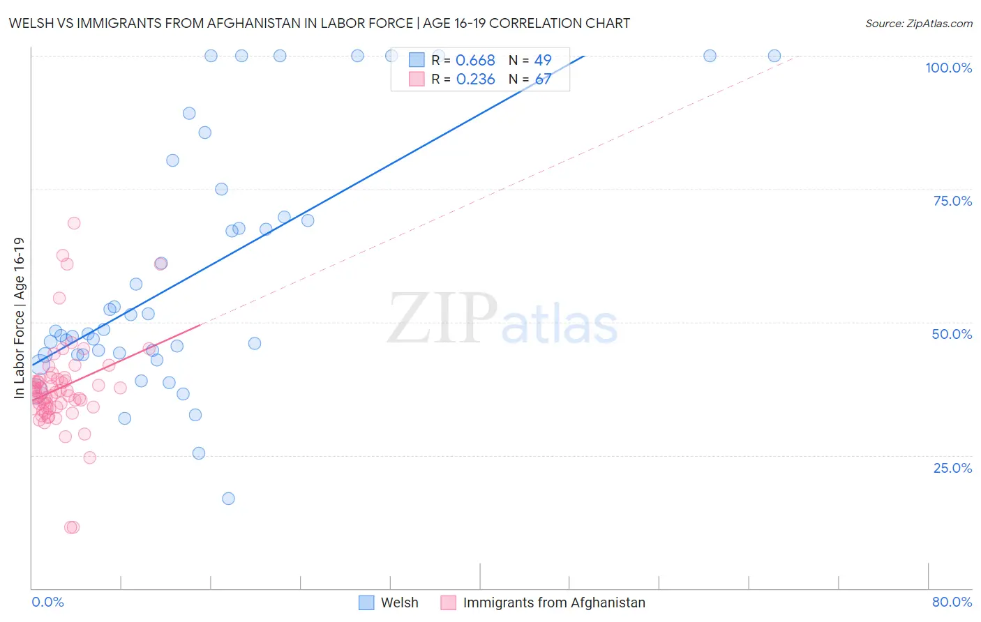 Welsh vs Immigrants from Afghanistan In Labor Force | Age 16-19