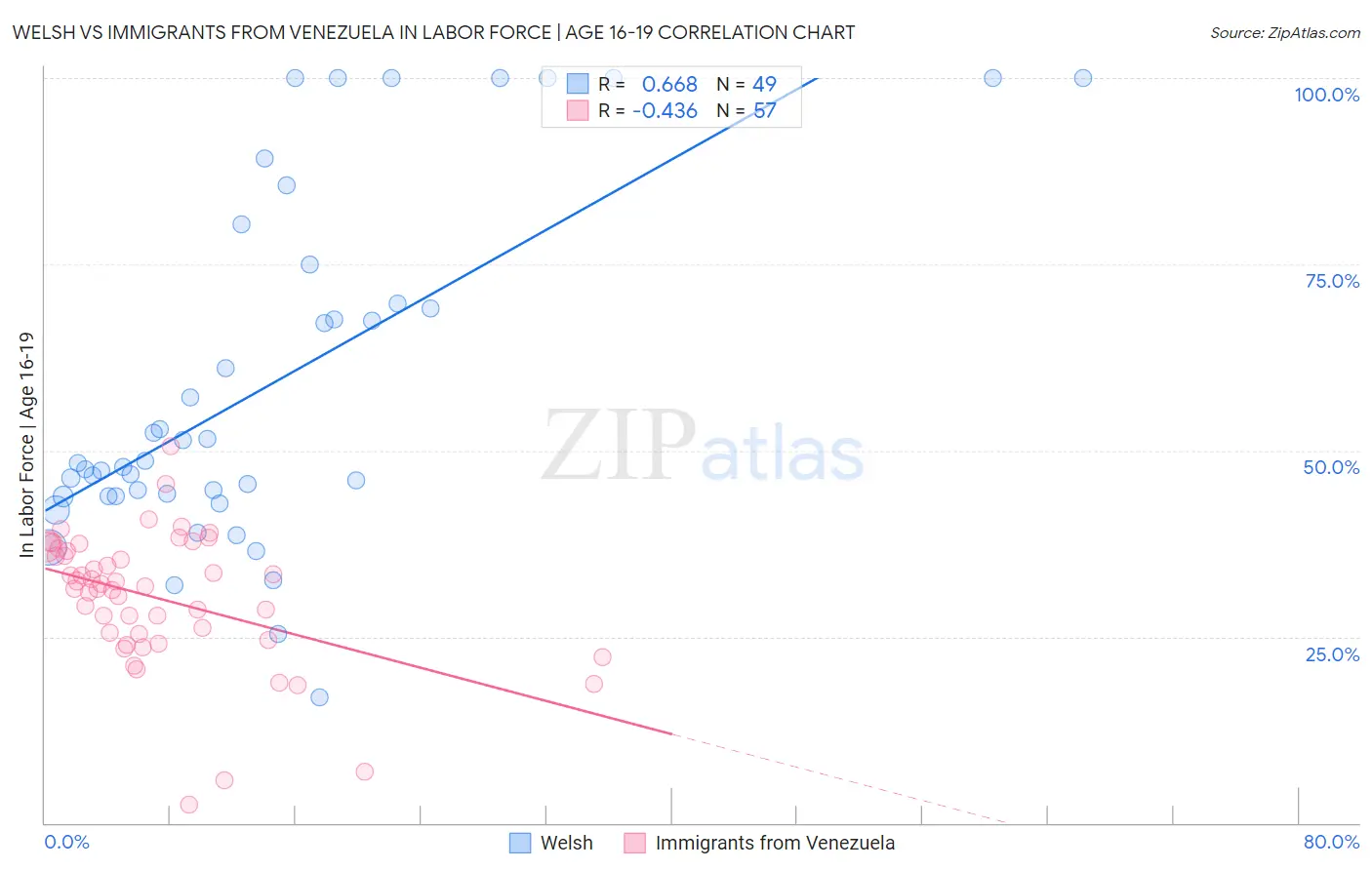 Welsh vs Immigrants from Venezuela In Labor Force | Age 16-19