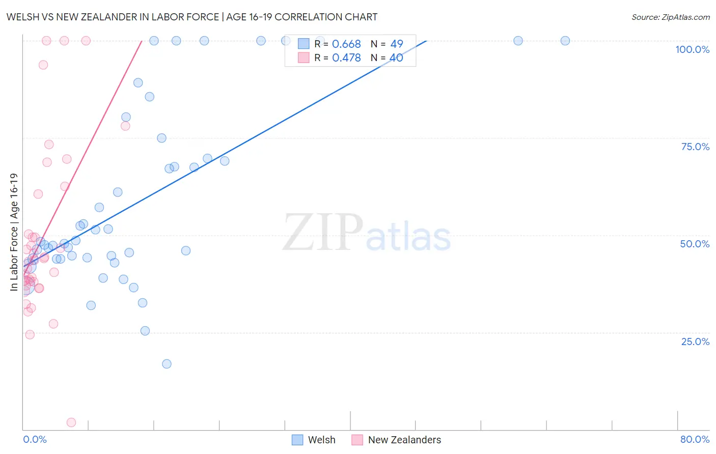 Welsh vs New Zealander In Labor Force | Age 16-19