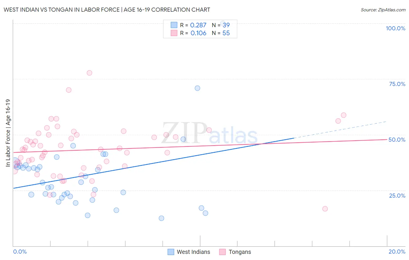 West Indian vs Tongan In Labor Force | Age 16-19