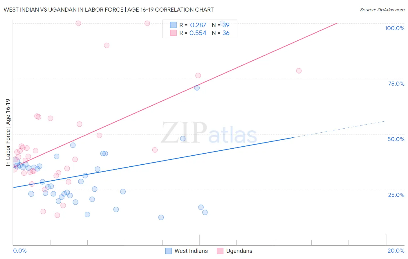 West Indian vs Ugandan In Labor Force | Age 16-19