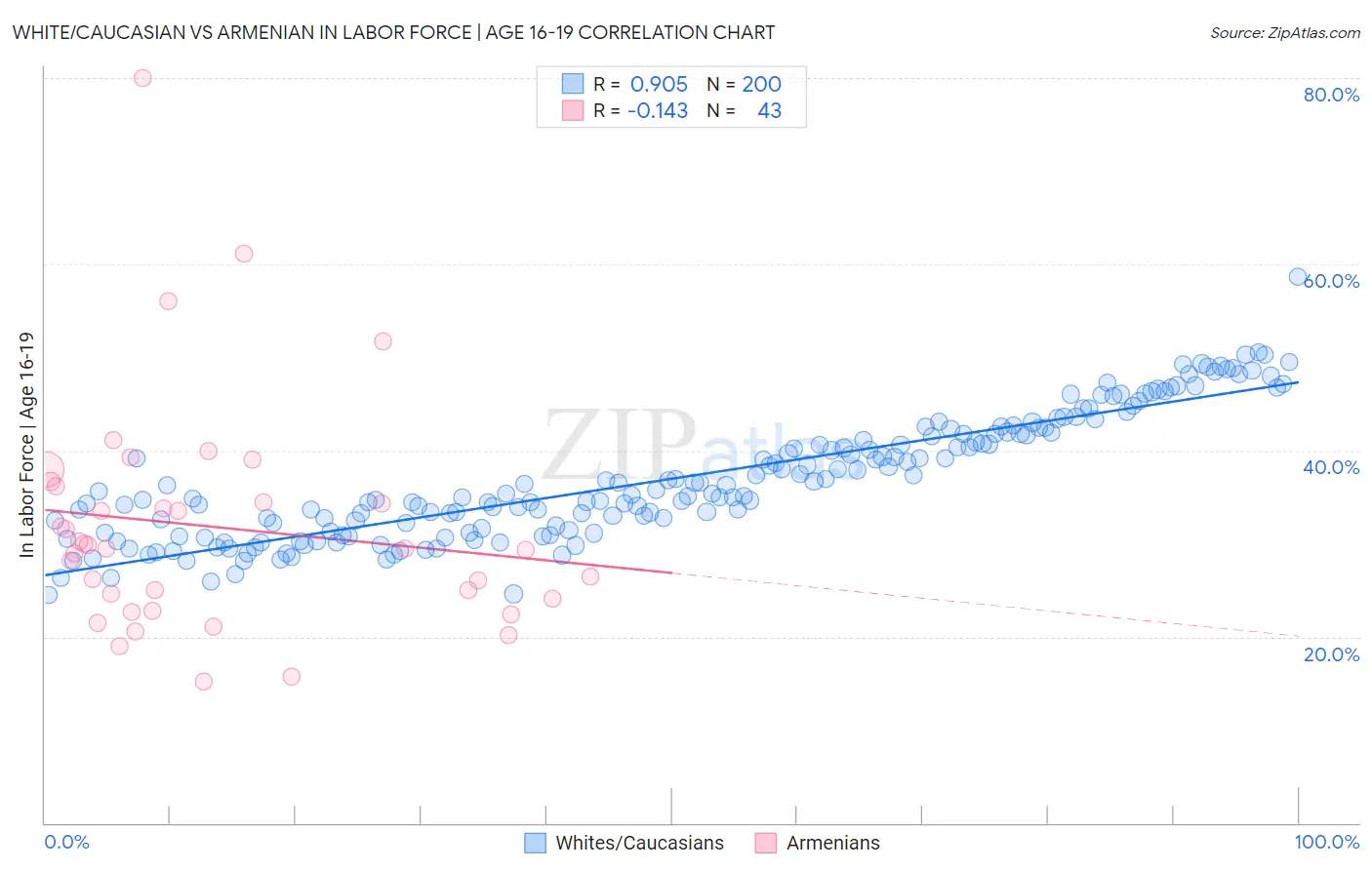 White/Caucasian vs Armenian In Labor Force | Age 16-19