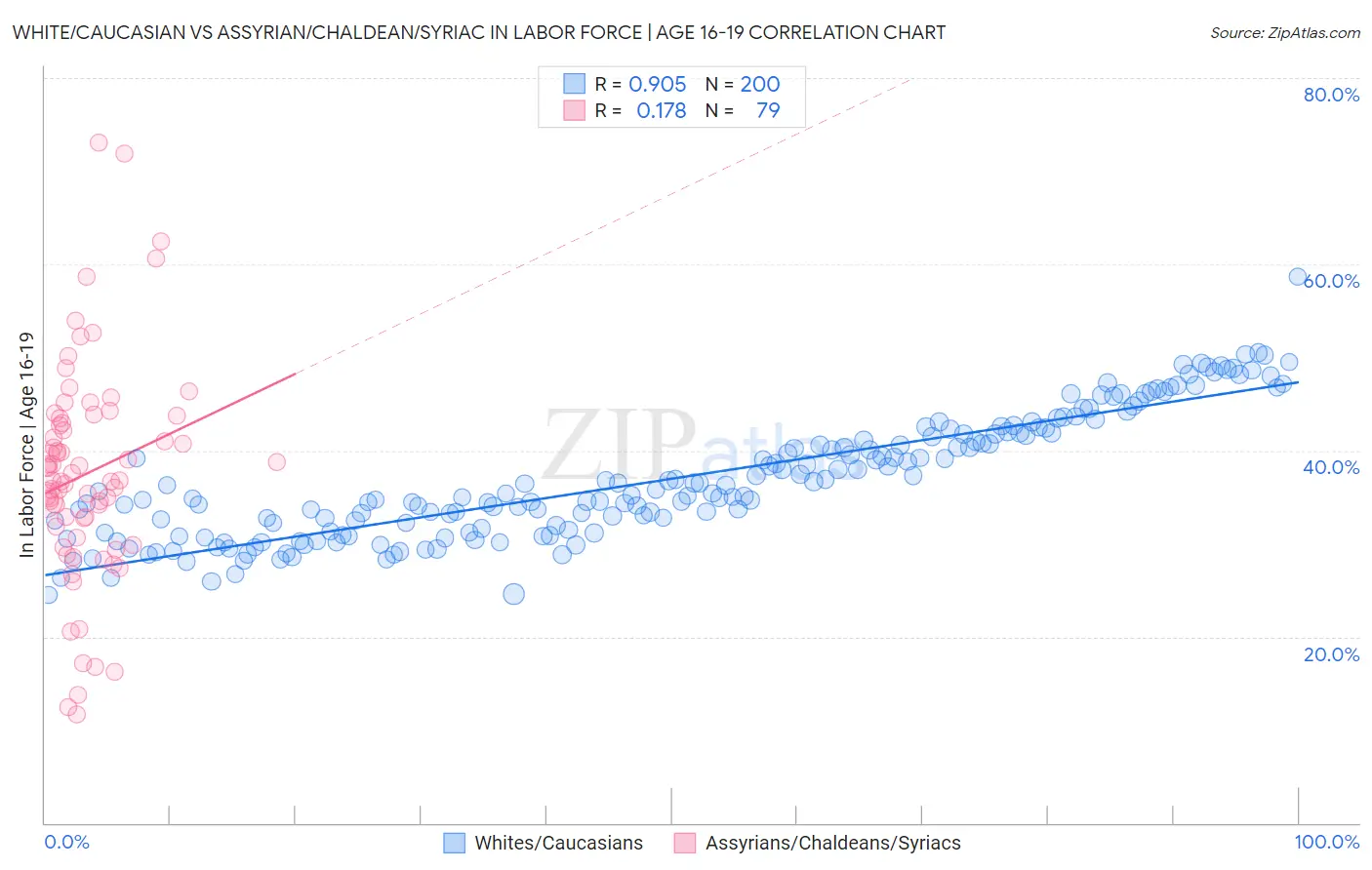 White/Caucasian vs Assyrian/Chaldean/Syriac In Labor Force | Age 16-19