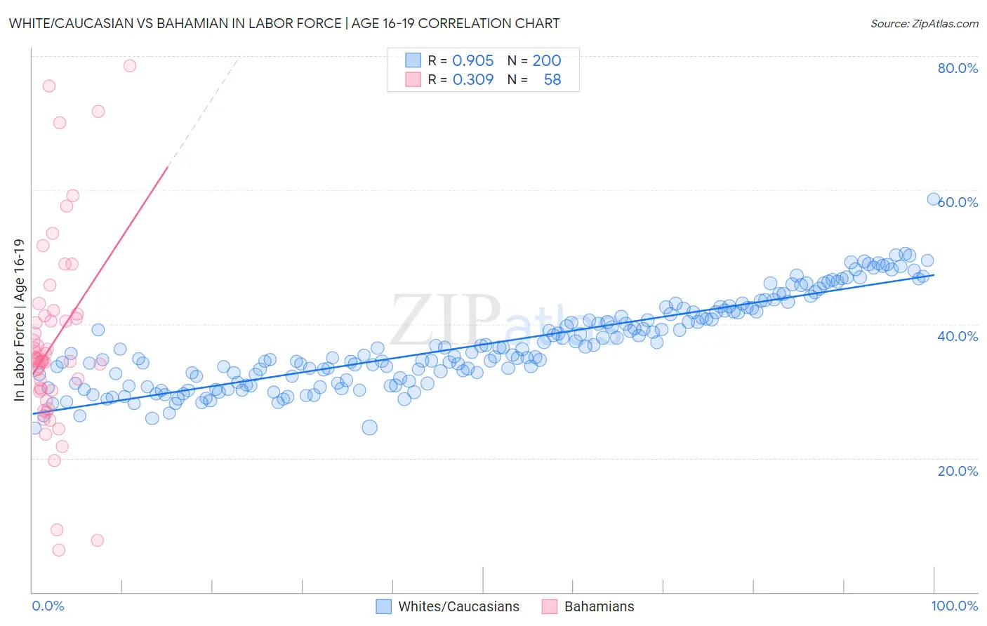 White/Caucasian vs Bahamian In Labor Force | Age 16-19