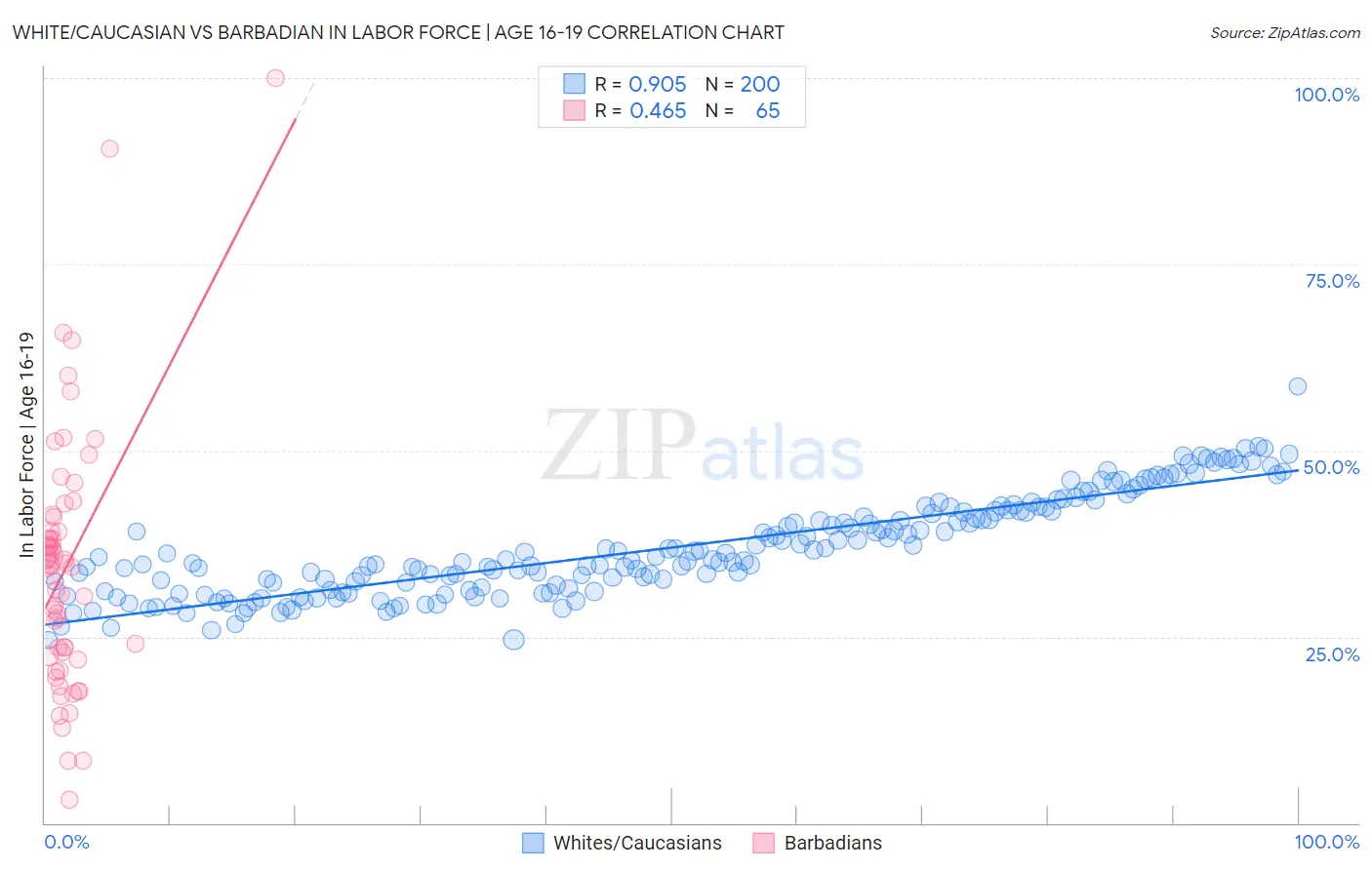 White/Caucasian vs Barbadian In Labor Force | Age 16-19