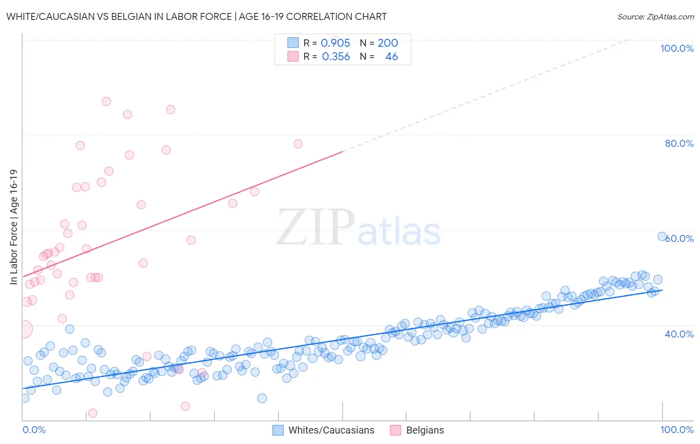 White/Caucasian vs Belgian In Labor Force | Age 16-19