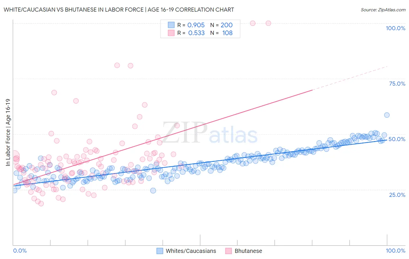 White/Caucasian vs Bhutanese In Labor Force | Age 16-19