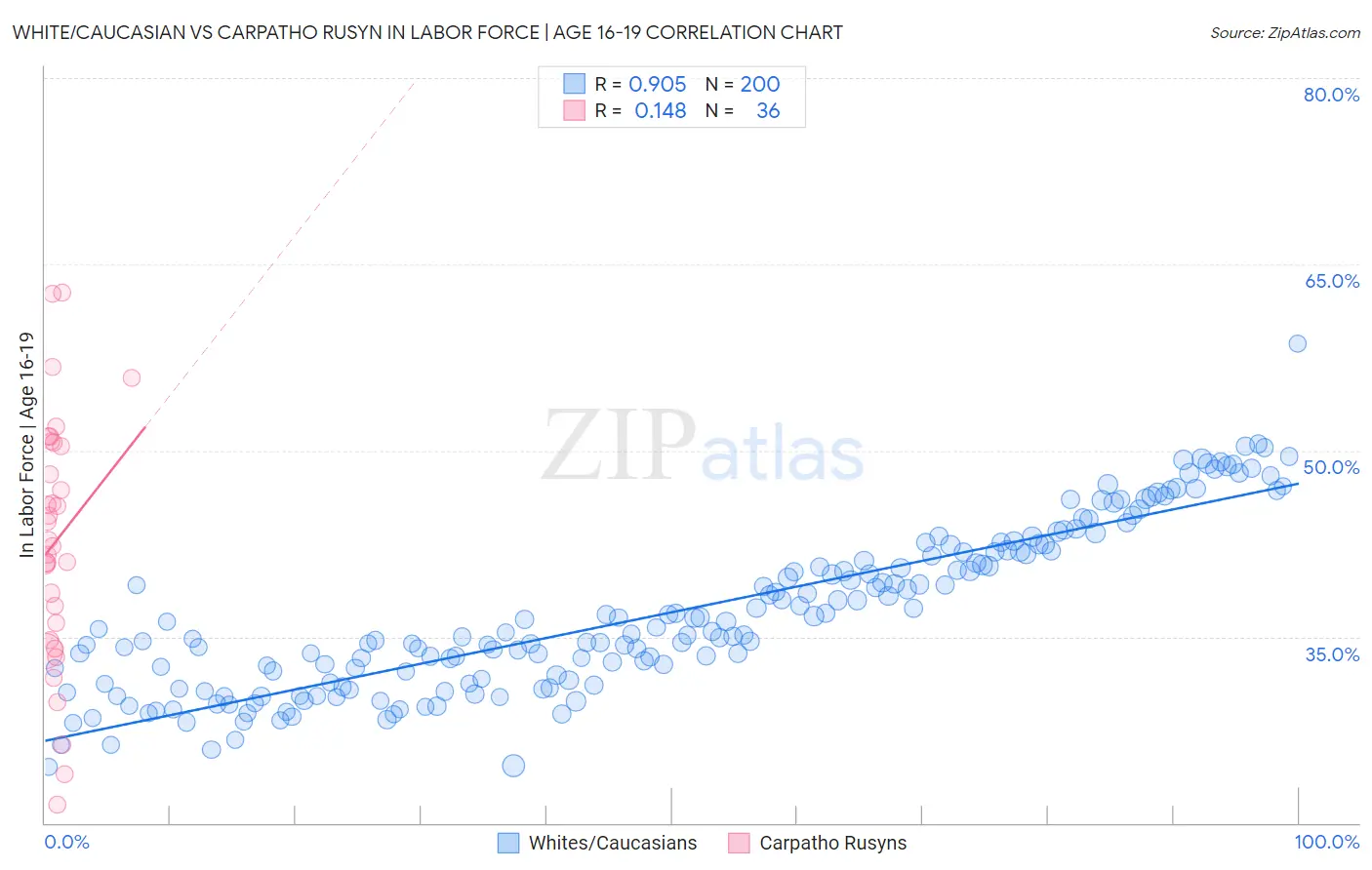 White/Caucasian vs Carpatho Rusyn In Labor Force | Age 16-19