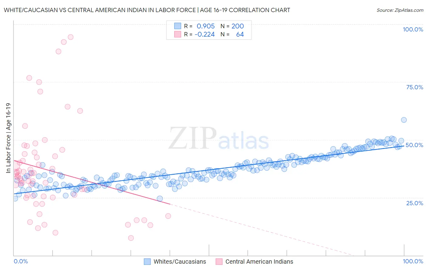 White/Caucasian vs Central American Indian In Labor Force | Age 16-19