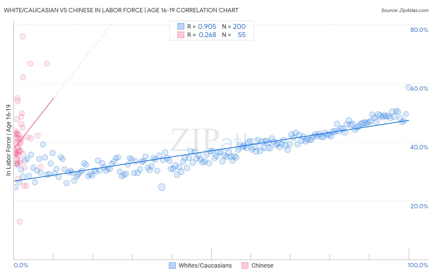 White/Caucasian vs Chinese In Labor Force | Age 16-19