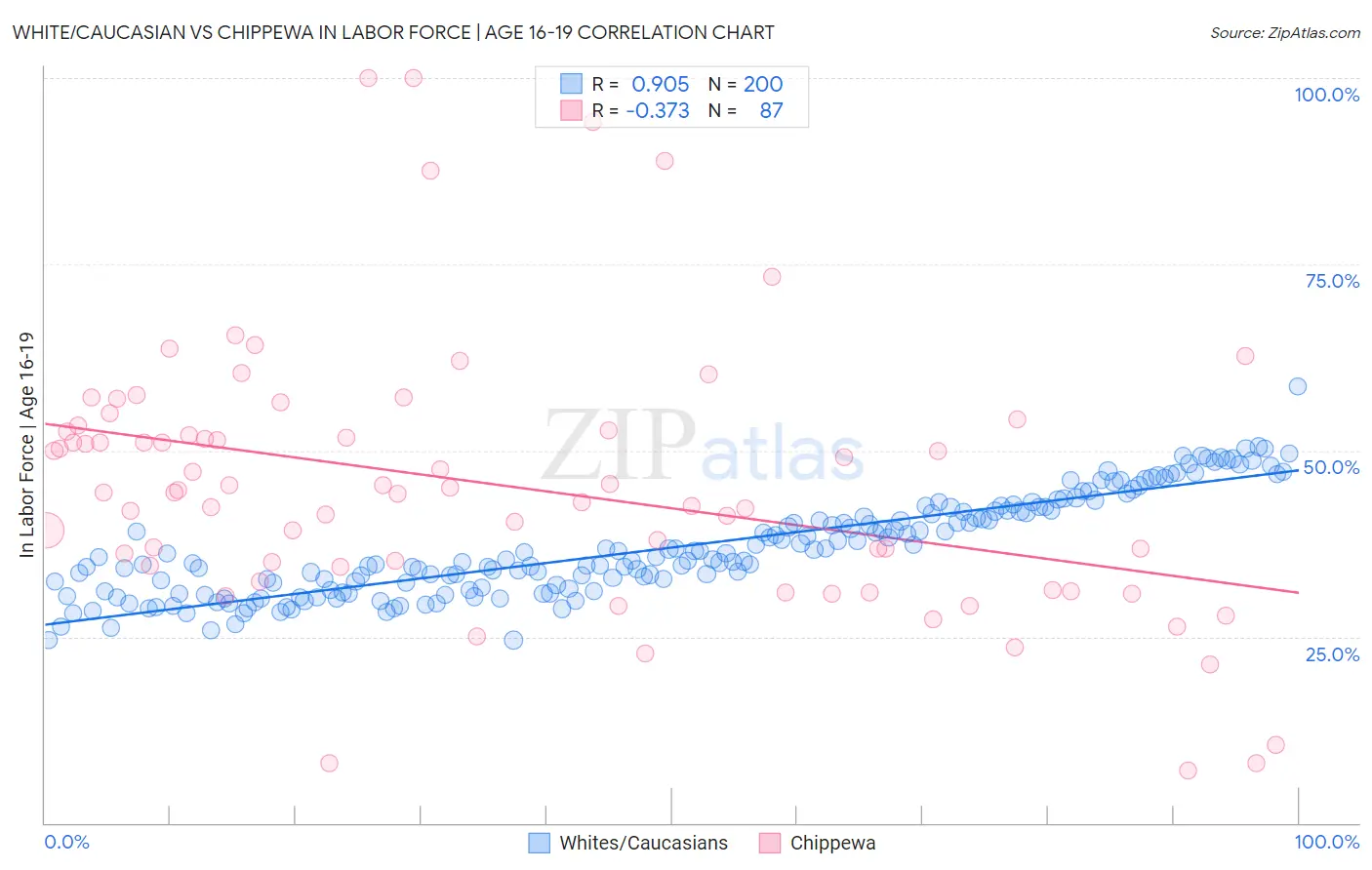 White/Caucasian vs Chippewa In Labor Force | Age 16-19