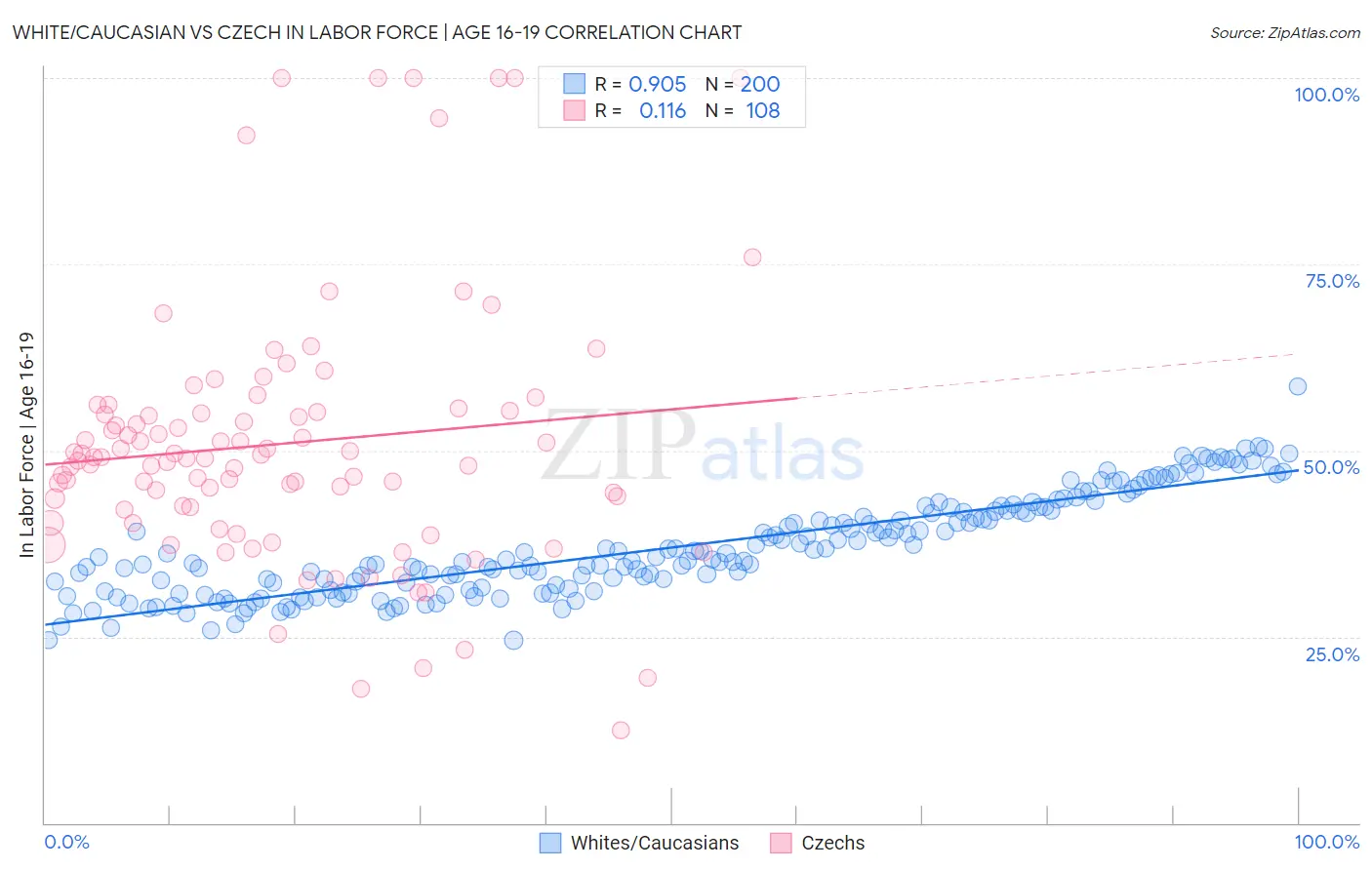 White/Caucasian vs Czech In Labor Force | Age 16-19