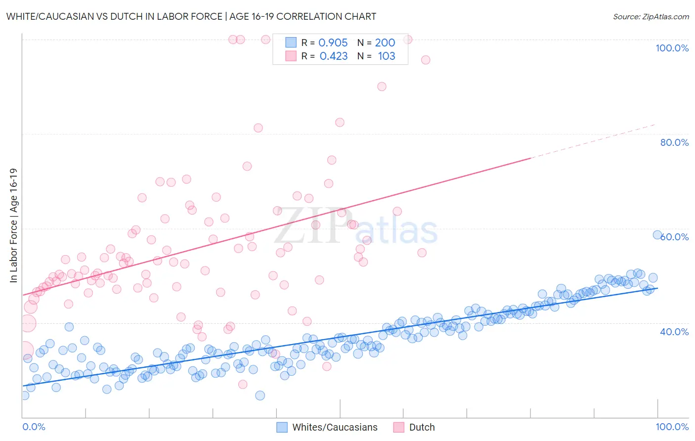 White/Caucasian vs Dutch In Labor Force | Age 16-19