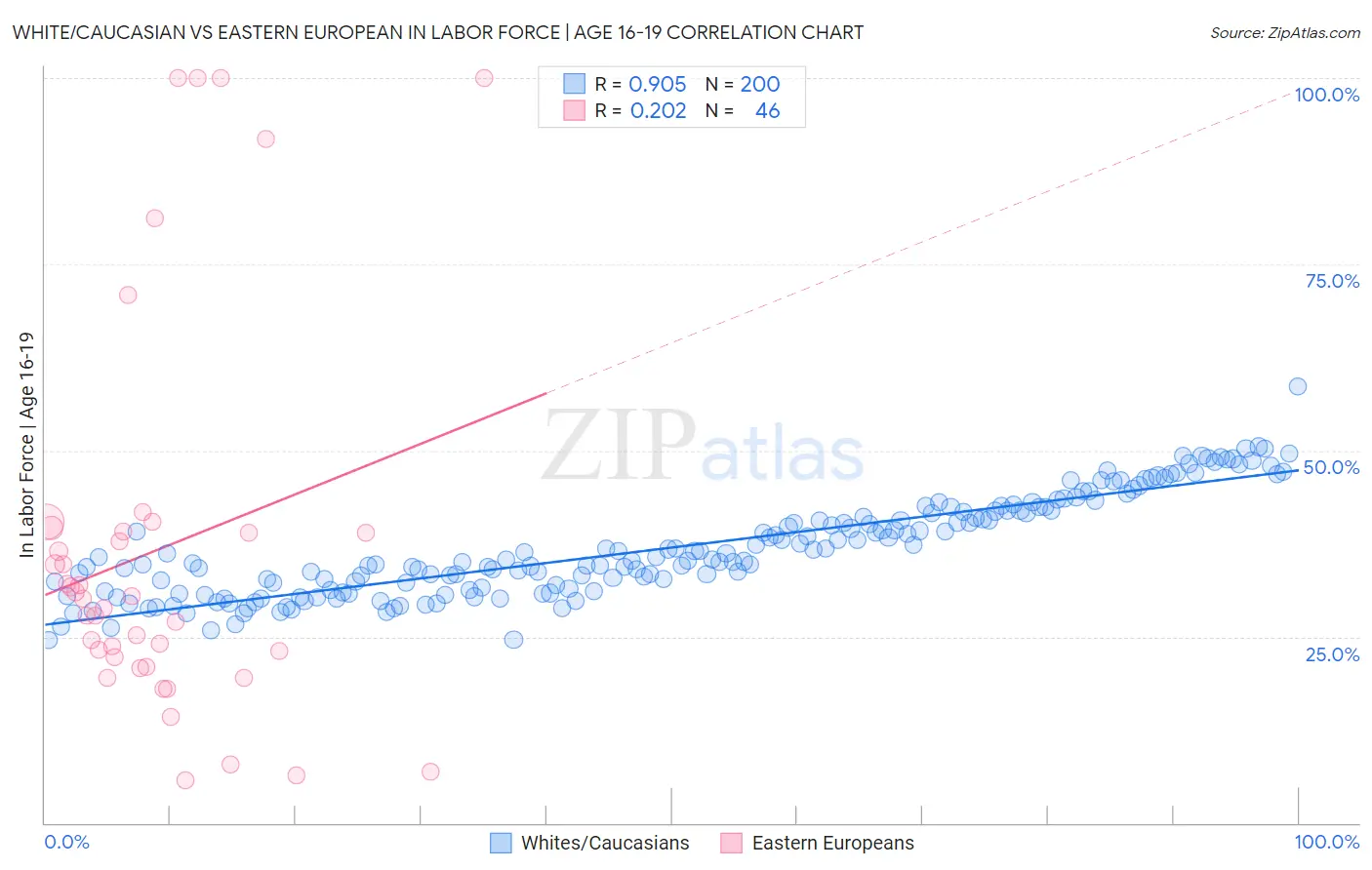 White/Caucasian vs Eastern European In Labor Force | Age 16-19