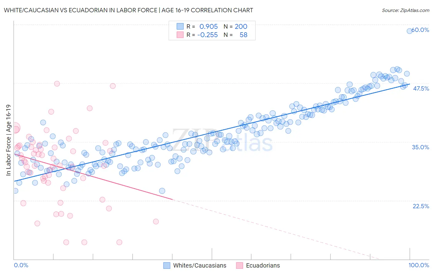 White/Caucasian vs Ecuadorian In Labor Force | Age 16-19