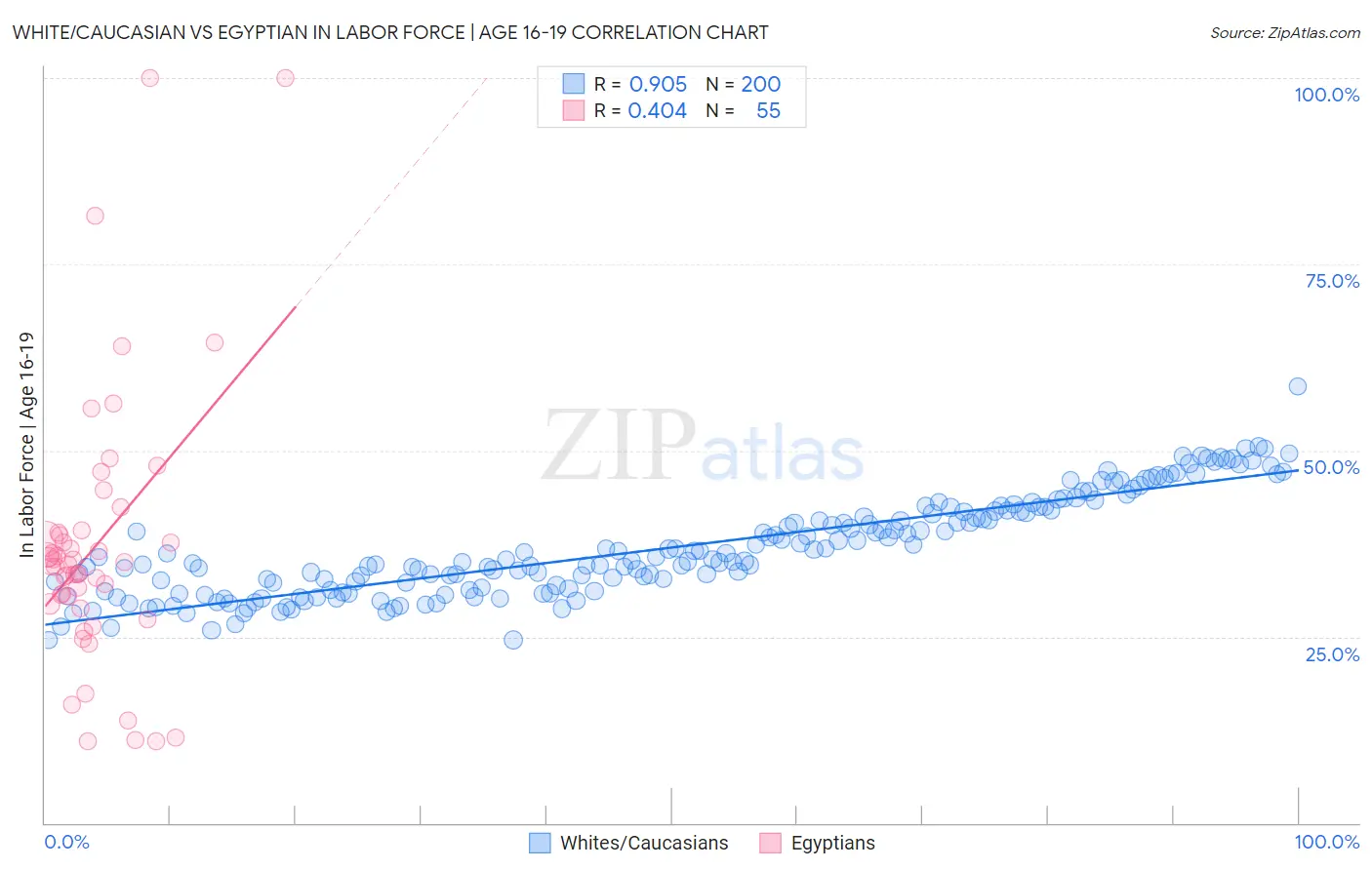 White/Caucasian vs Egyptian In Labor Force | Age 16-19