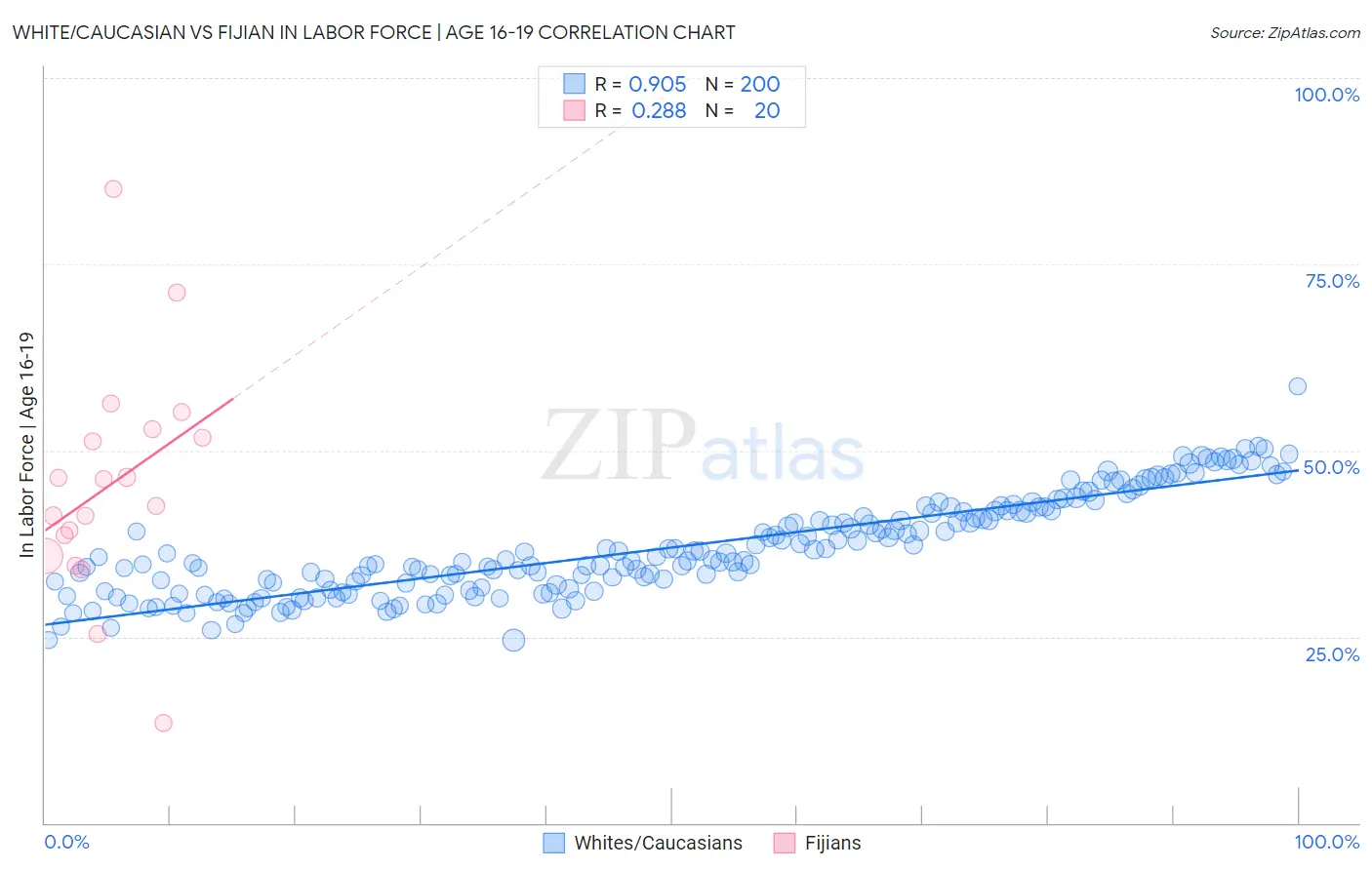 White/Caucasian vs Fijian In Labor Force | Age 16-19