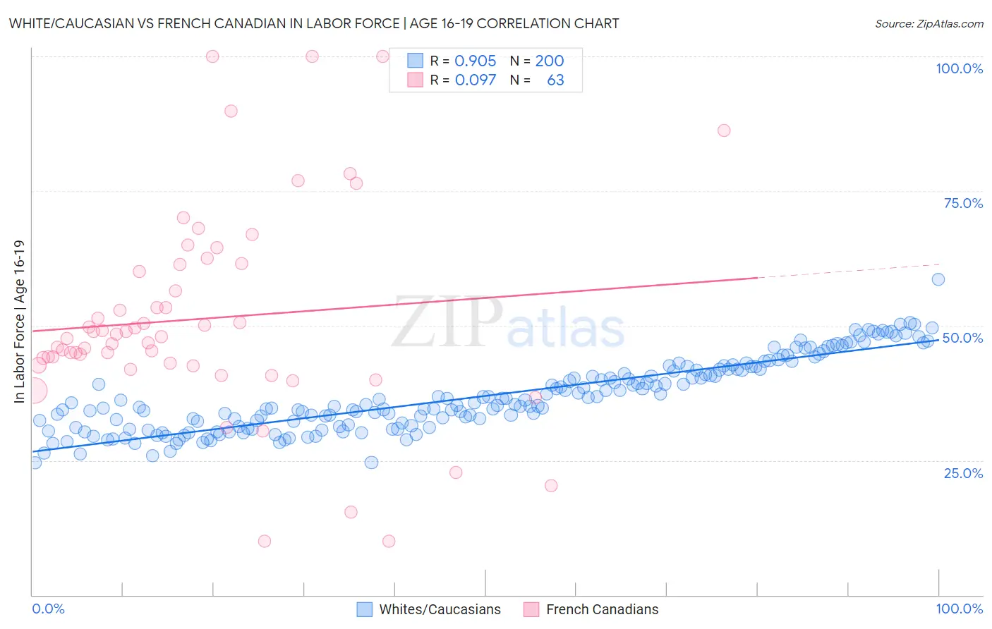 White/Caucasian vs French Canadian In Labor Force | Age 16-19