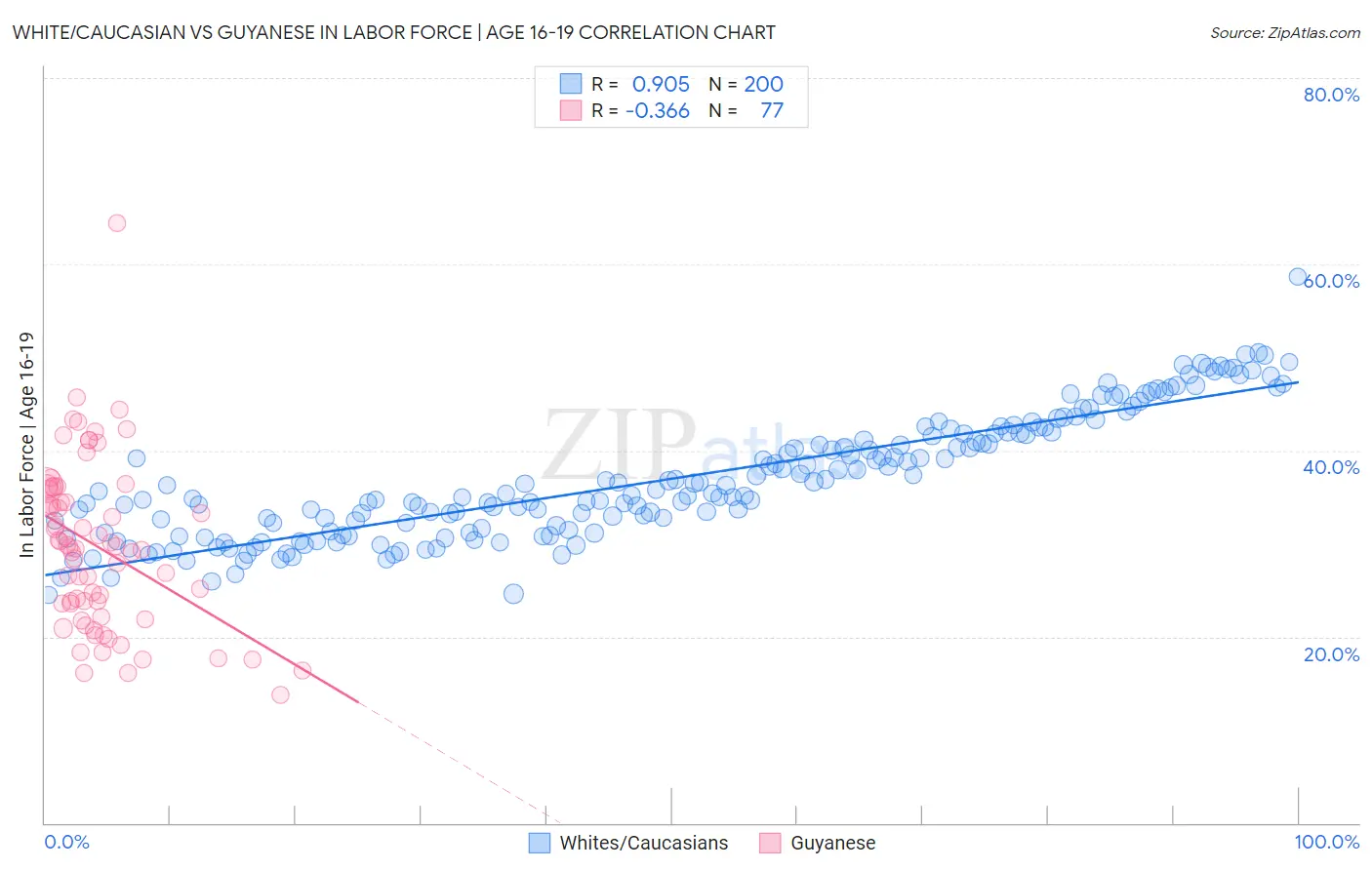 White/Caucasian vs Guyanese In Labor Force | Age 16-19