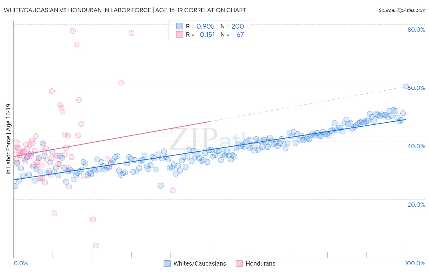 White/Caucasian vs Honduran In Labor Force | Age 16-19