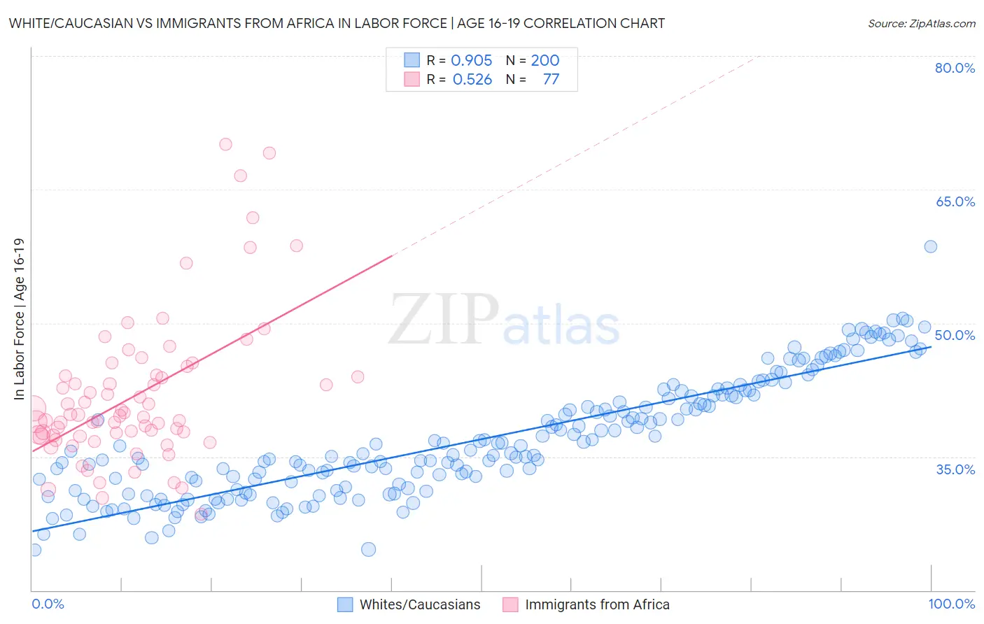 White/Caucasian vs Immigrants from Africa In Labor Force | Age 16-19