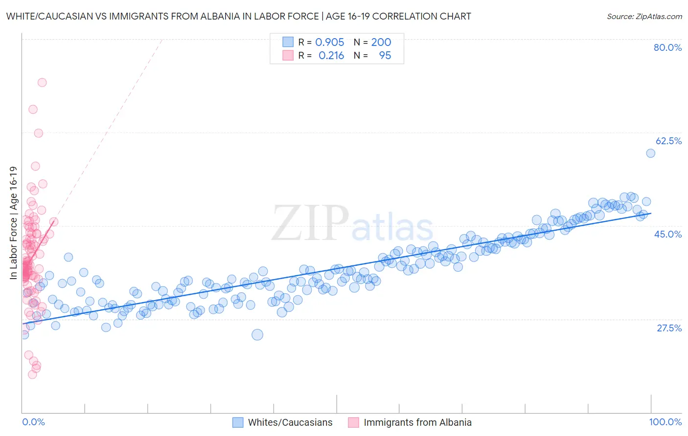 White/Caucasian vs Immigrants from Albania In Labor Force | Age 16-19